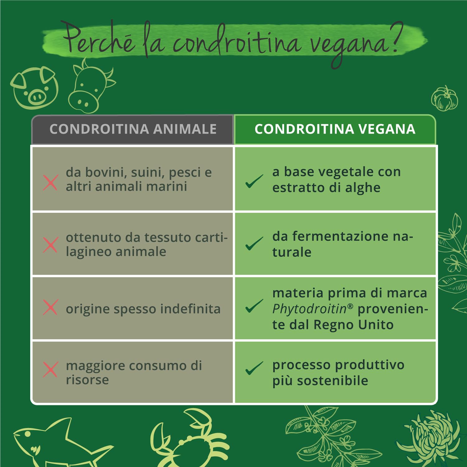 Glucosamina Condroitina Complex VEGAN | con MSM, Artiglio del diavolo, Zinco e Vit C | Integratore Articolazioni | Alto dosaggio di Glucosamin Solfato | Cruelty Free e Senza Additivi | Vegavero