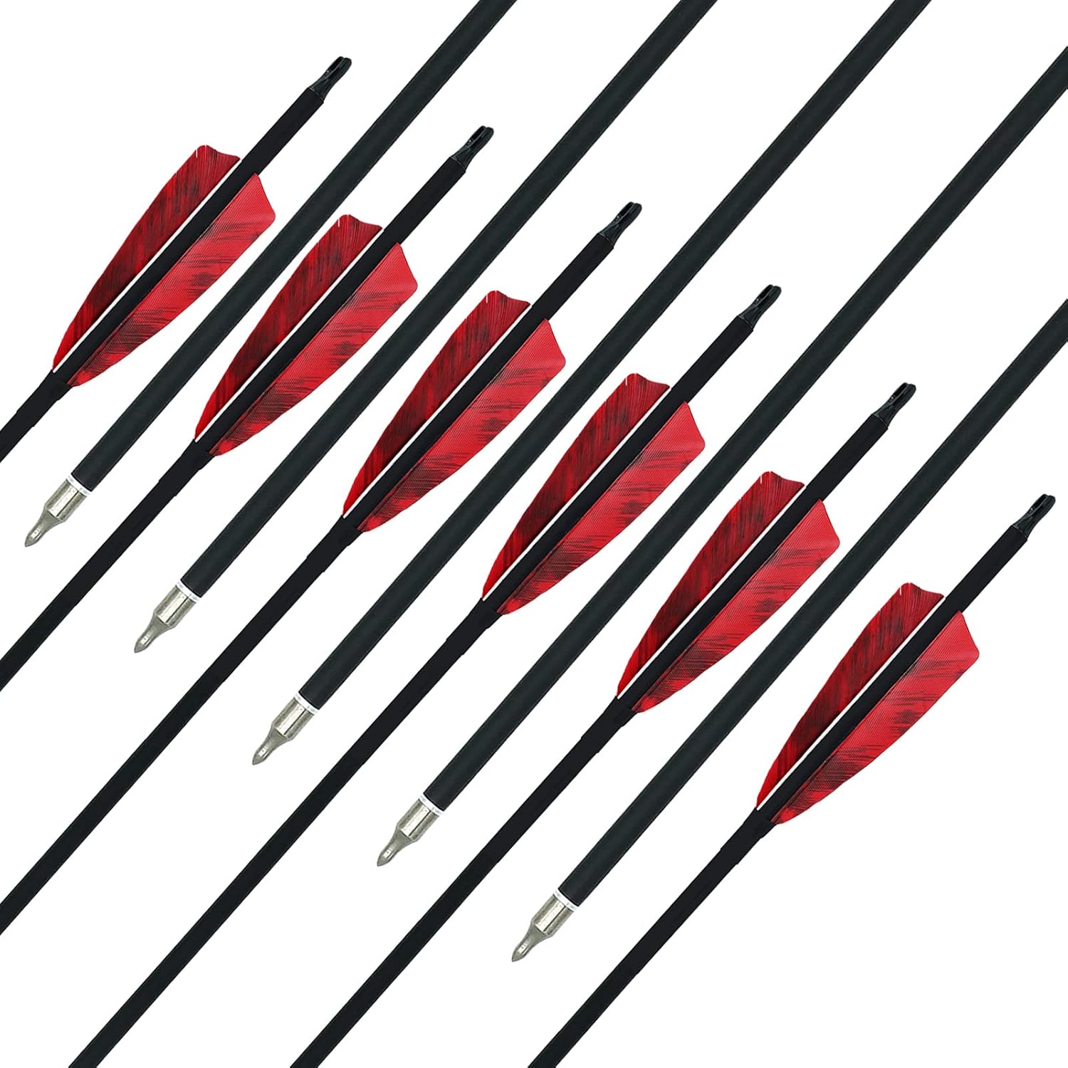 Archery Carbon Arrows 31" Hunting Arrows 500 Spine Arrow with Replaceable Tips Natural Fletching Targeting Practice Arrows for Recurve Bow Compound Bow Traditional Long Bow