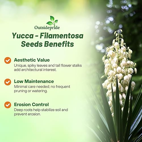 Miniatura 3 de Outsidepride Sempervivum Montanum para gallinas y pollos perennes tolerantes a la sequía, semillas de plantas  500 semillas