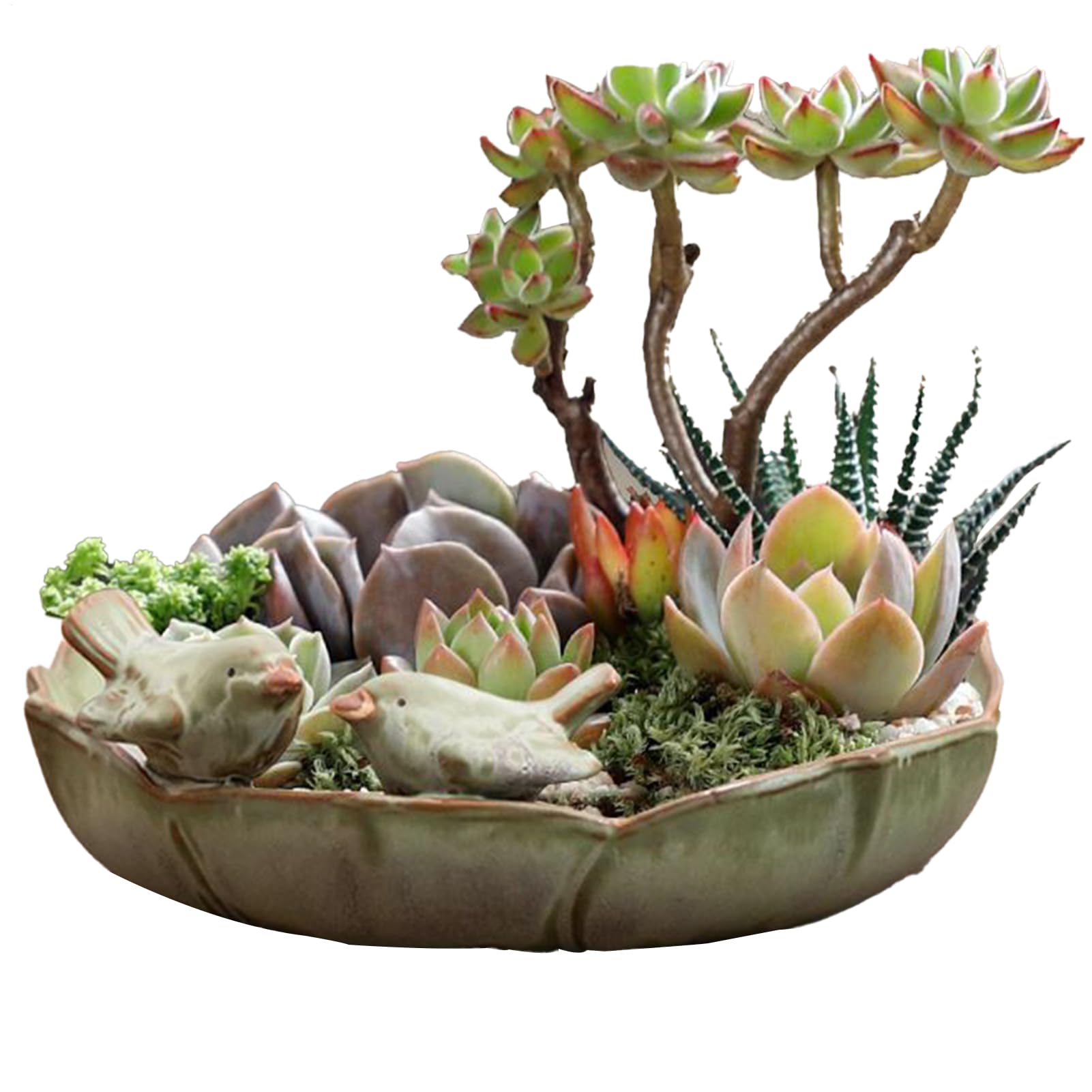 Ceramic Bird Baths for Outdoors - Parrot Watering Bowl | Hummingbird Feeding Container for Balcony Lawn, 10 Inch Parakeet Bathing Dish