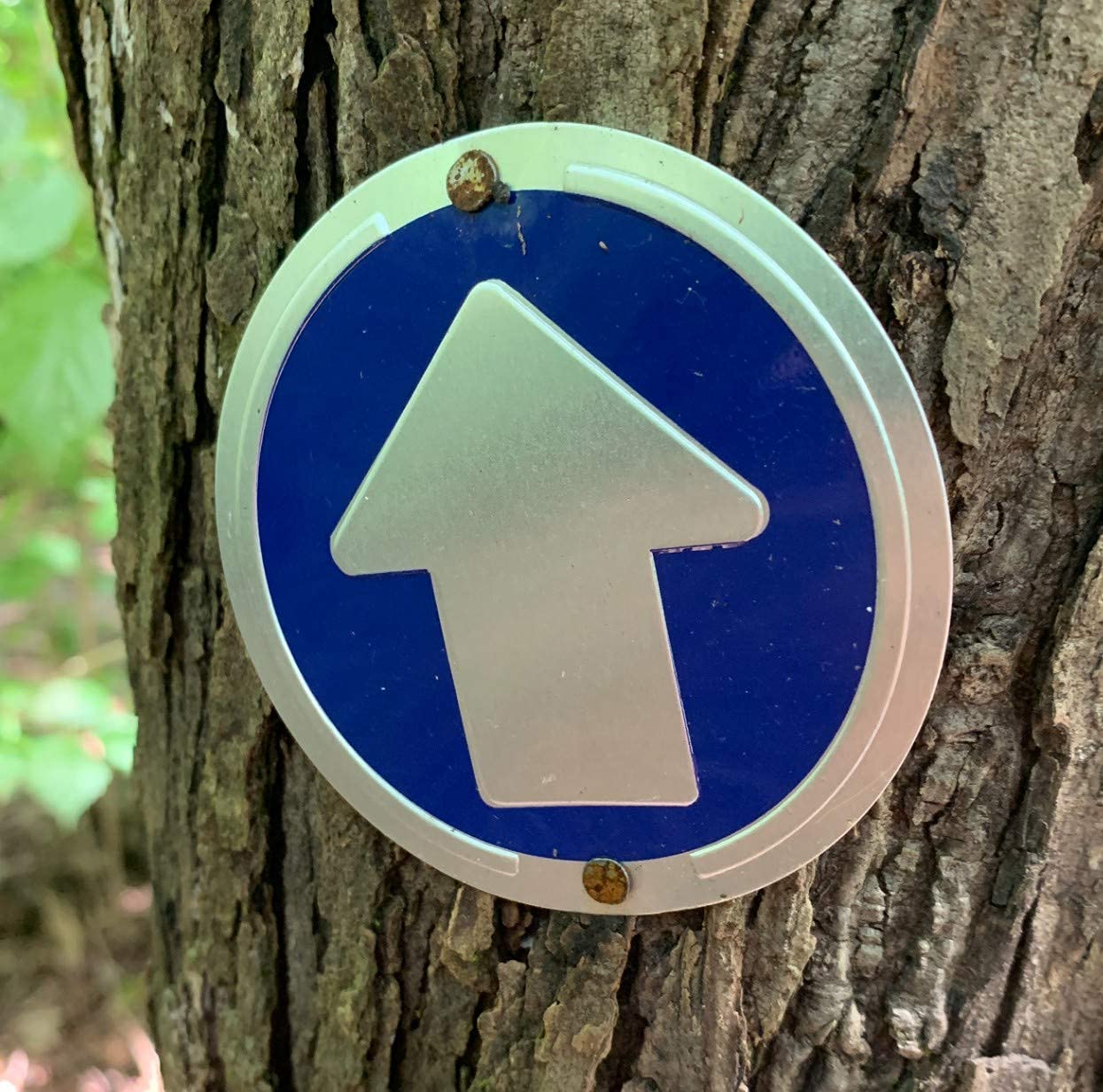 XIHIRCD 24 Marqueurs De Sentier Réfléchissants Jaunes - Clips Pour Randonnée, Chasse Et Camping