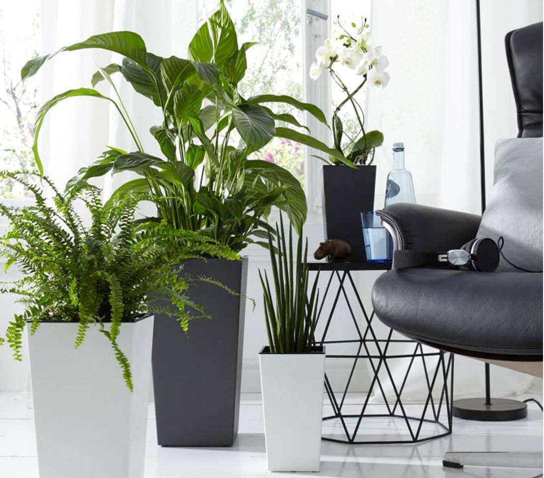 Kunststofftopf Elise mit Selbstbewässerungs-System, Farben + Größen