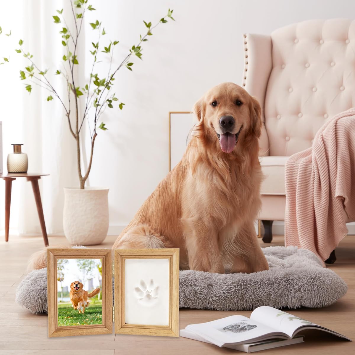 Zykra Set Impronta Zampa Cane e Gatto, Cornice per Foto Animali per Gatti o Cani, Kit Impronta Cane, Cornice in Legno Stampa in Gesso 3D, Cornice Commemorativa per Animali Domestici