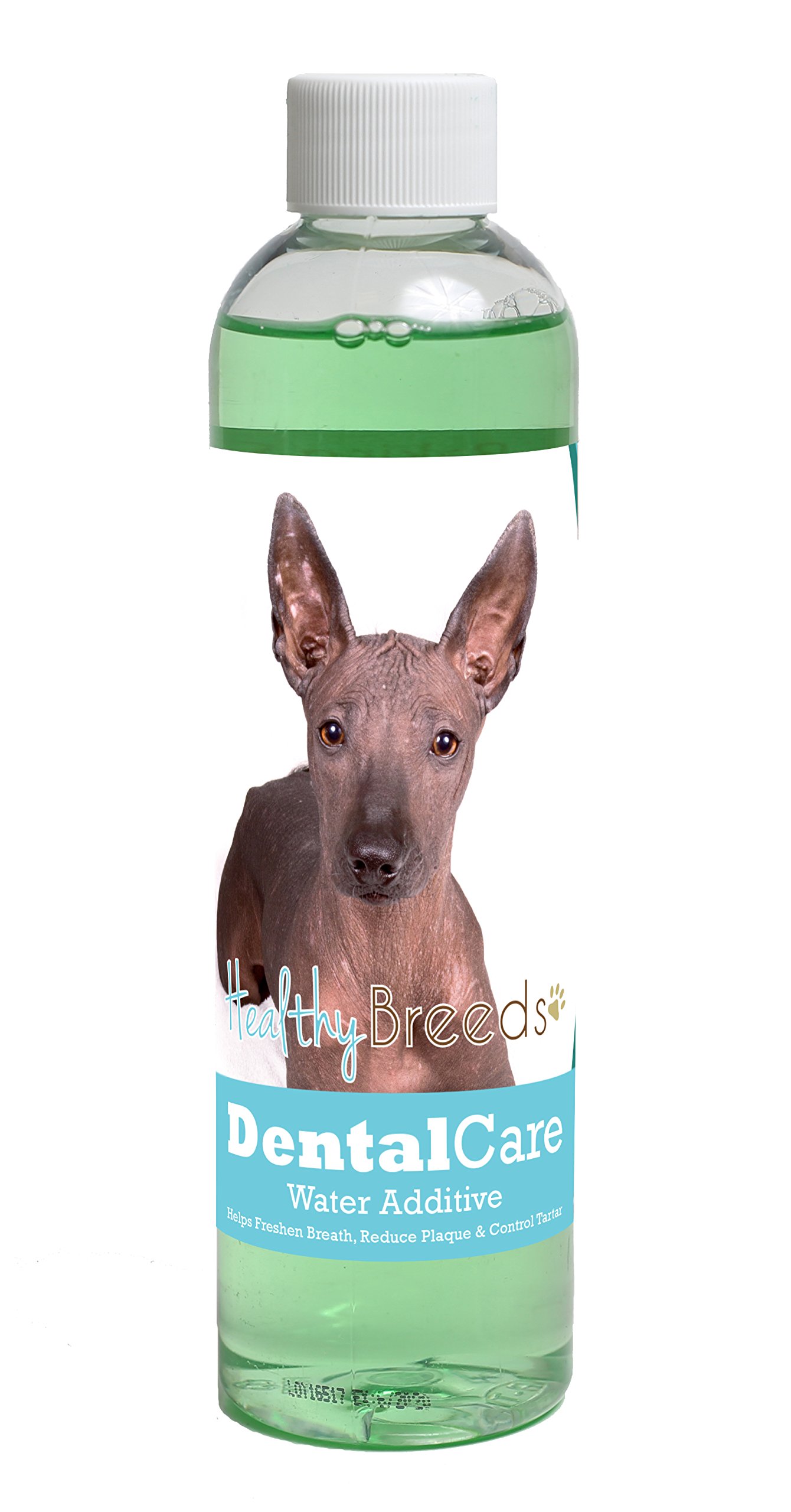 Healthy Breeds Dog Dental Care Water Additive for Xoloitzcuintli - Helps Freshen Breath, Reduce Plaque &amp; Control Tartar - Mint Flavor - 8 oz