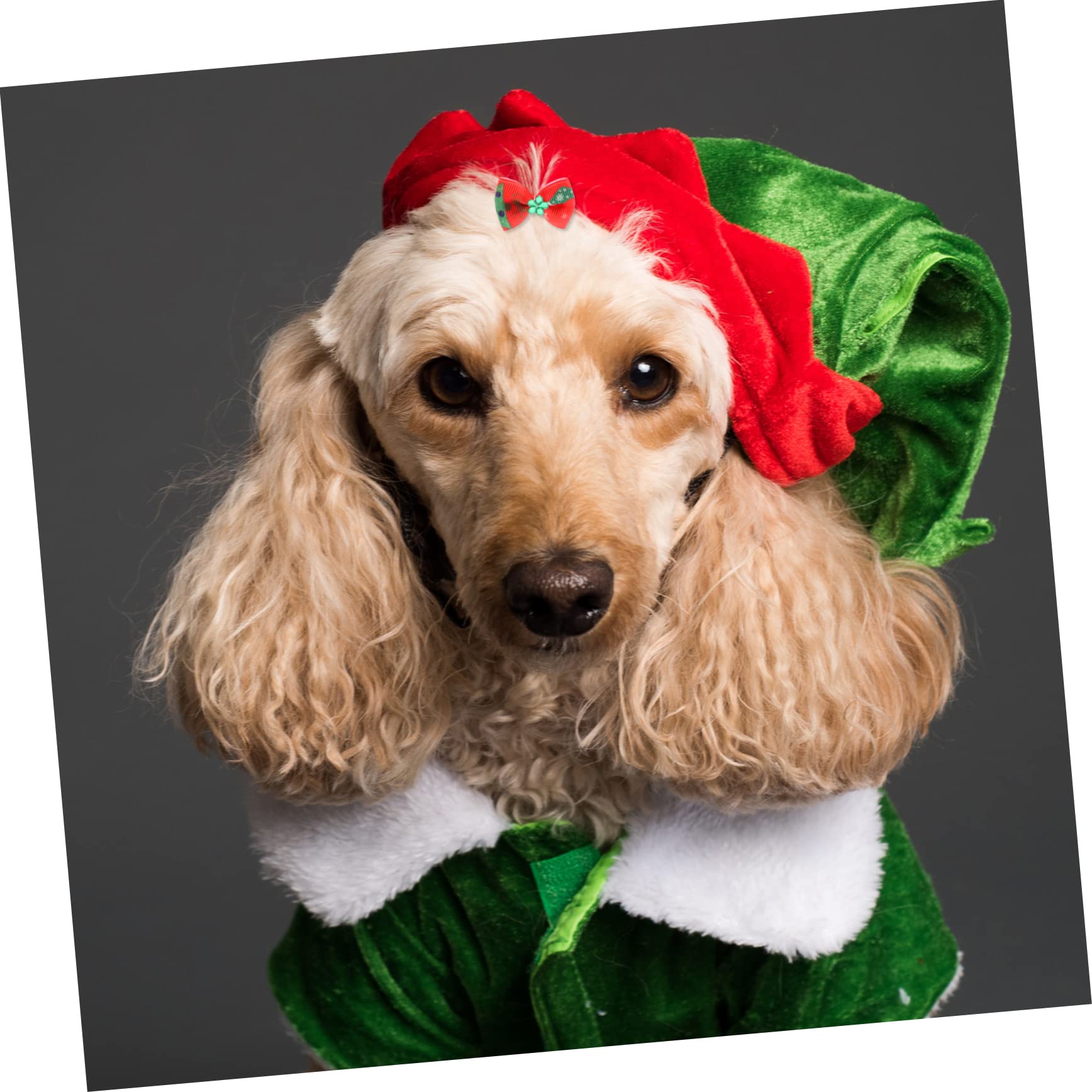 Angoily Fiocchetti per Cani Fiocchetti per Cani Halloween 300 Pezzi di di Animali Domestici Cravatta dei del Cane Mollette per Perno di della Bambola Fiocchi di di Cane Accessorio dei per