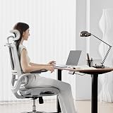 SIHOO M59AS Chaise Ergonomique, Double Dossier, Support Lombaire Adaptatif - 2