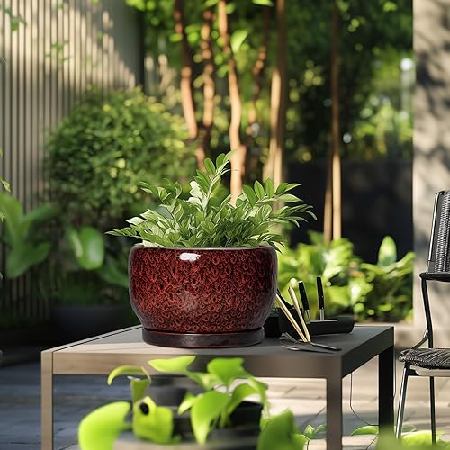 Miniatura 5 de SQOWL Macetas de cerámica  Maceta de 10 pulgadas para interiores, maceta de cerámica con orificio de drenaje y platillo, maceta grande decorativa