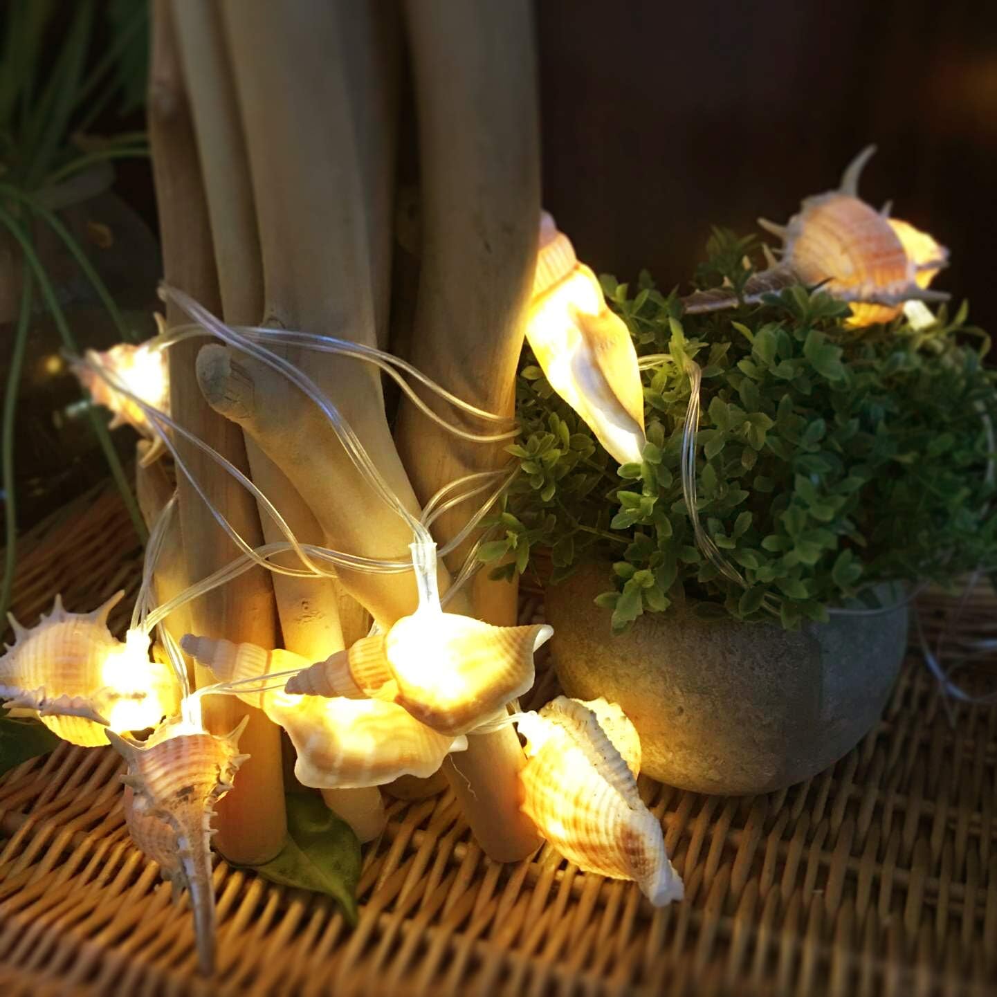HDNICEZM Natural Conch LED String Lights, 10 Ft 10 LED Battery Powered Waterproof Low Heat Silver Copper Wire Beach Theme Fairy Lights for Indoor Outdoor Decoration Projects (Warm White, Timer).