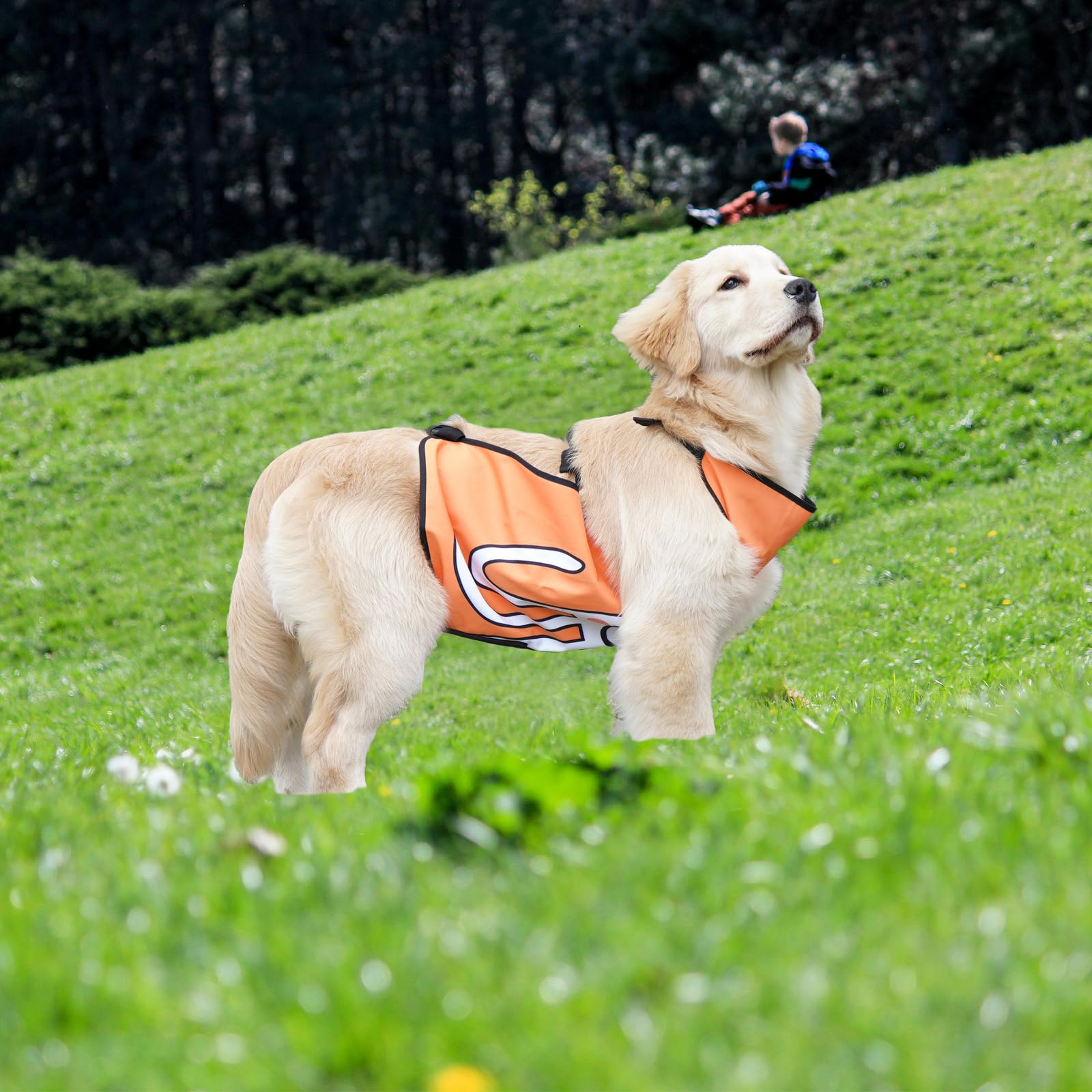 Duuclume Buikbeschermer voor huisdieren, waterdicht hondenbuikbeschermend vest met gespen, buikband slabbetje borstbeschermer voor honden, voorkomt vuil en nat worden, voor kleine, middelgrote en