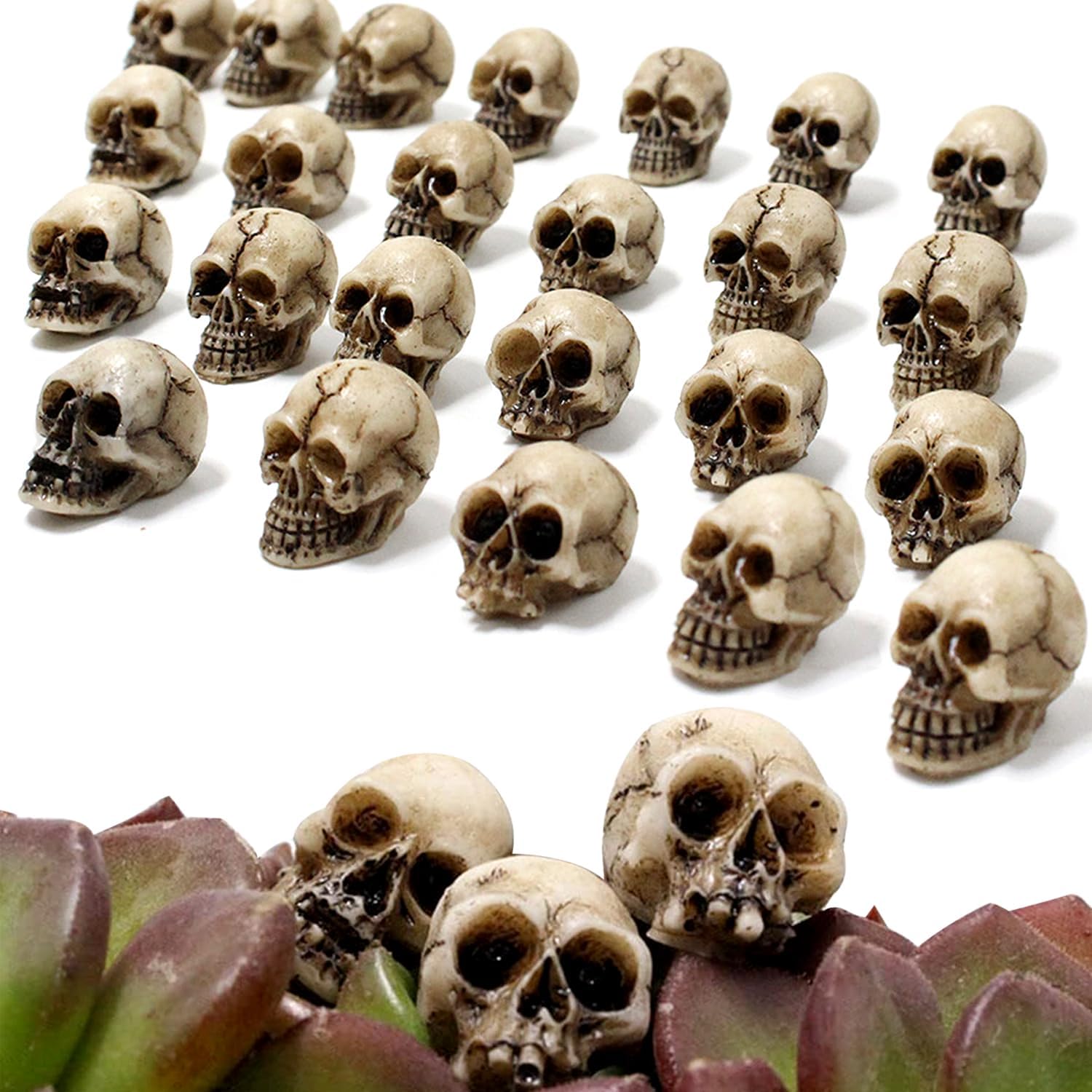 YumSur Resin Skull Set Mini Skull Figure Mini Skull Model Skull Figure Decorative Skeleton Model Landscape Garden Potted Plant Decoration (Pack of 20)