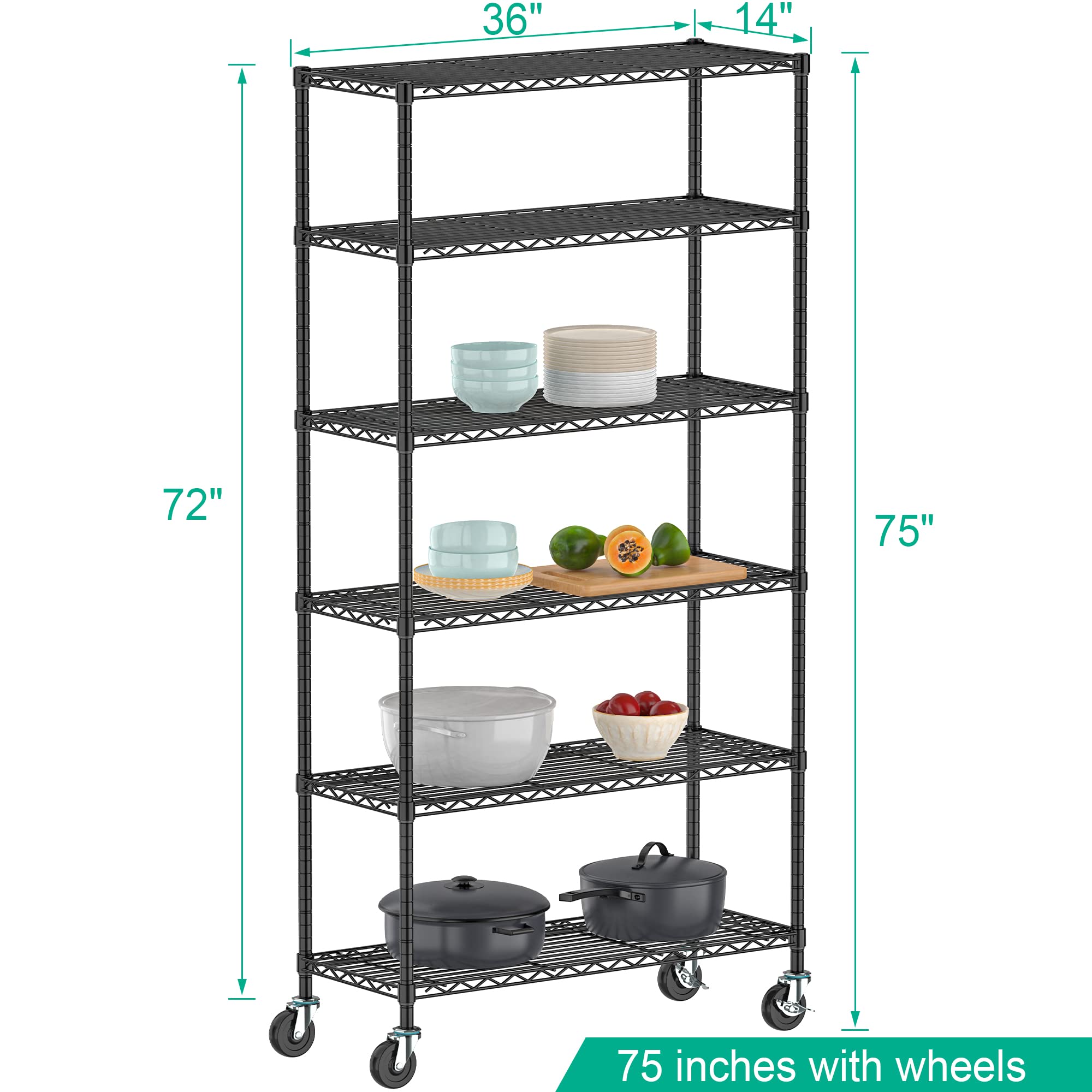 https://m.media-amazon.com/images/I/71vDeZga+BL.jpg