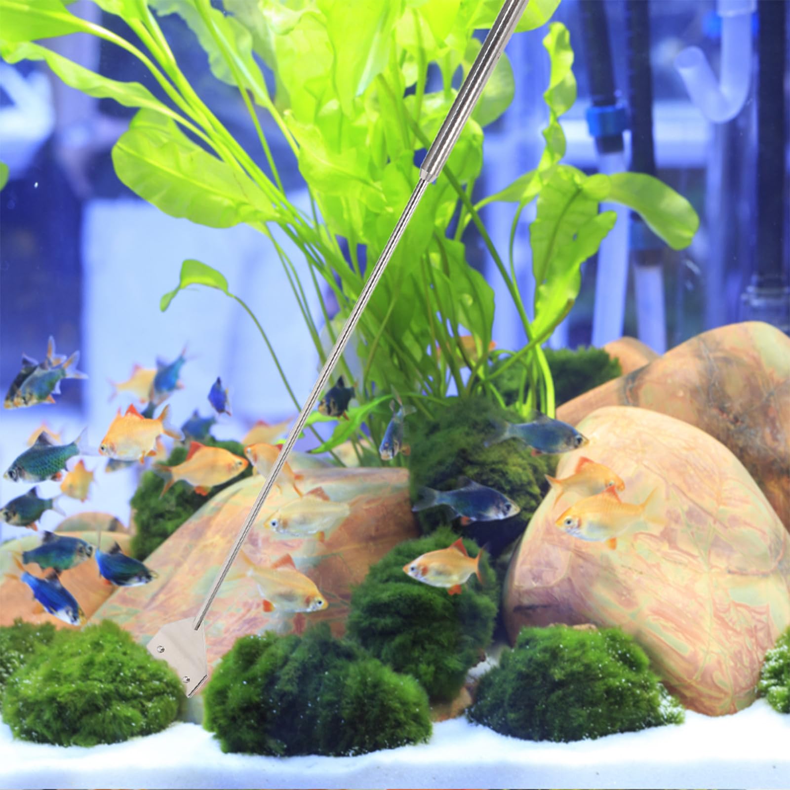 HANABASS Kit D’Outils D’Aquascaping pour Aquarium Grattoir à Algues 46 CM Ciseaux 25 CM et Pince 38 CM en Acier Inoxydable Matériel de Nettoyage pour Plantes Aquatiques et Entretien