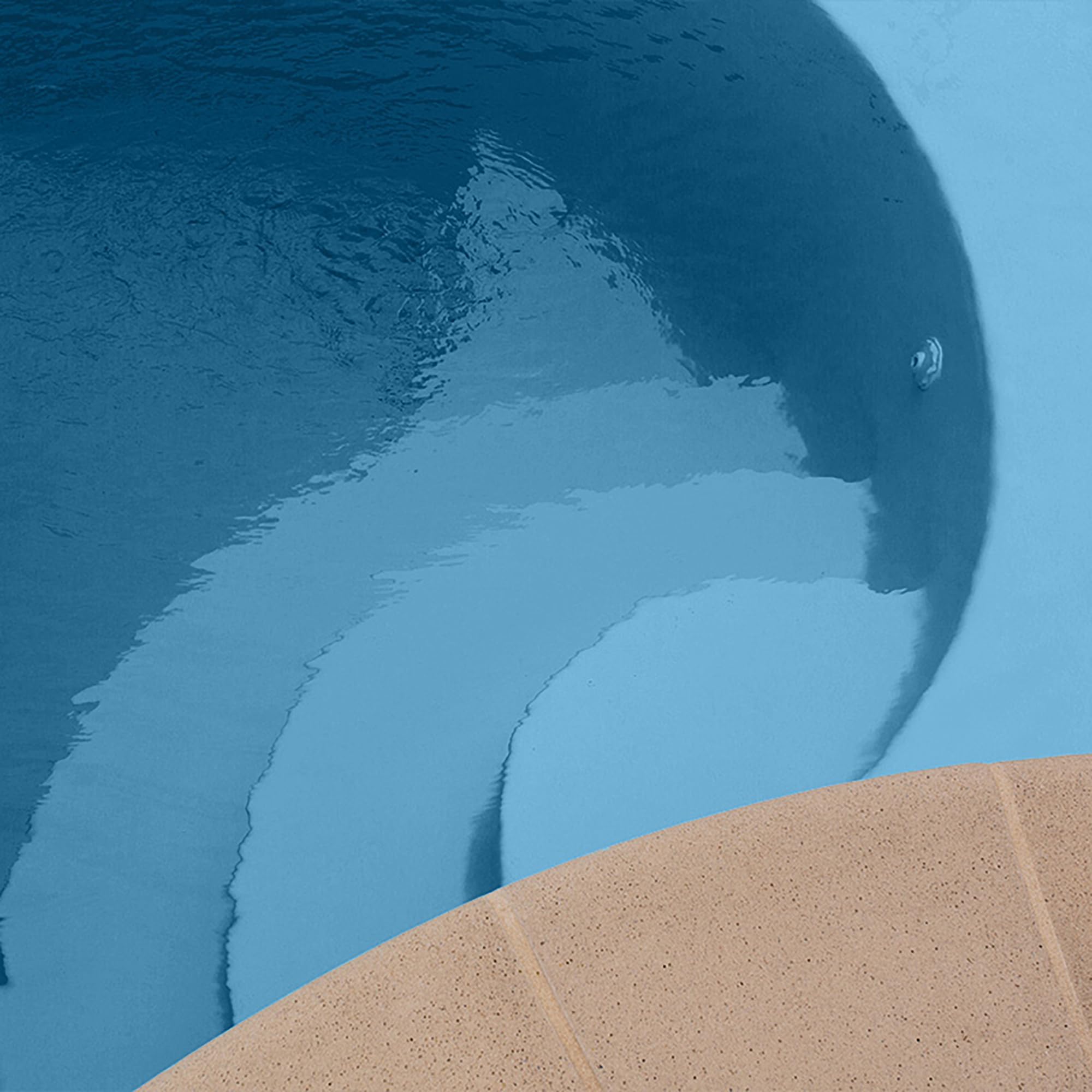 EPODEX Poolfarbe, Schwimmbadfarbe - Himmelblau Pastell | UV-beständig, elastisch & langlebig 2K PU Paint, für Beton-, Chlor- & Salzwasserpools, Matt, 2kg – deckt 9 m² (2 Anstriche)