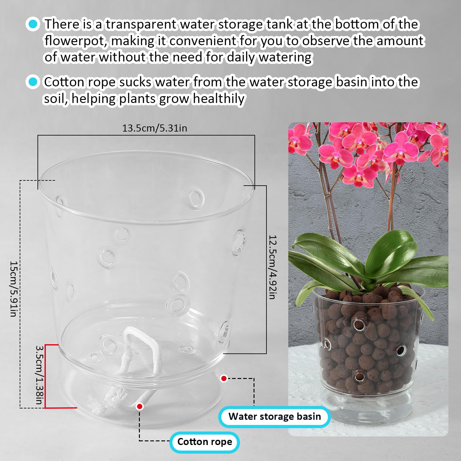 Vaso a rete per radice di orchidea fiore traspirante