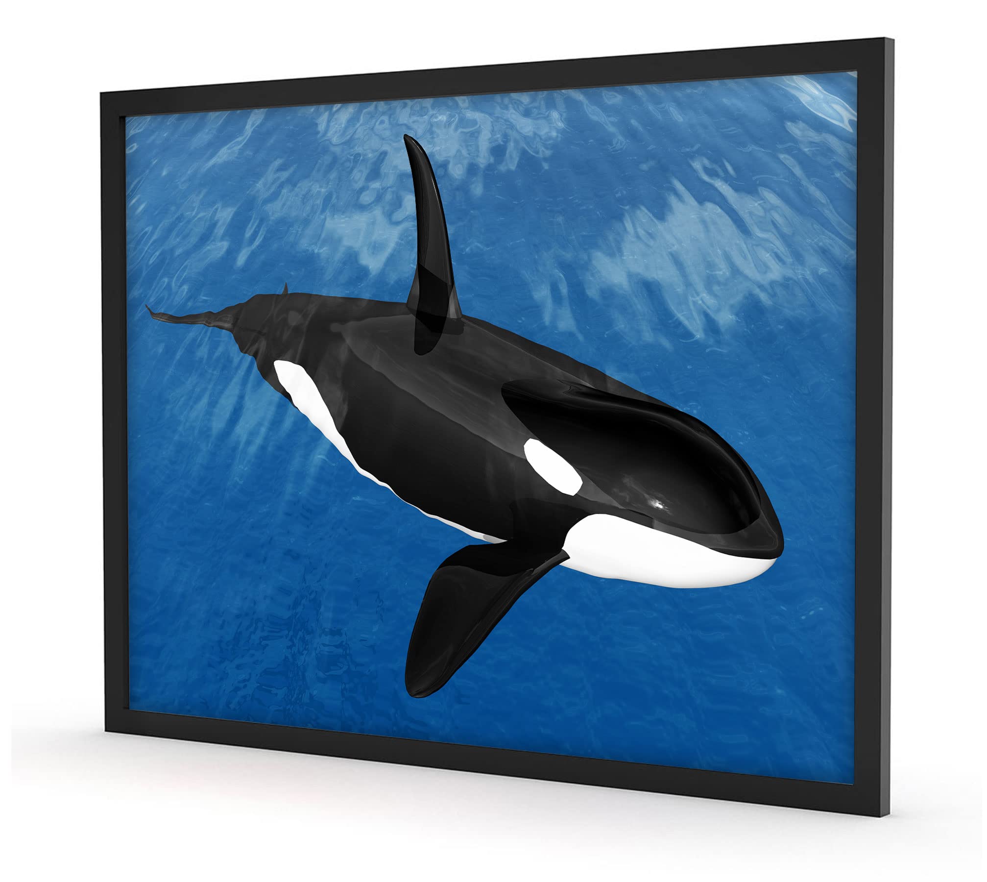 Bella Orca nel mare, poster in cornice/formato: 80 x 60 cm, stampa artistica incorniciata