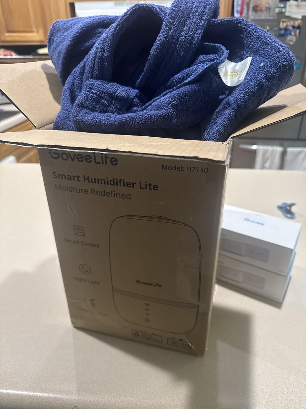GoveeLife Smart Humidifier Lite - Govee | Govee US
