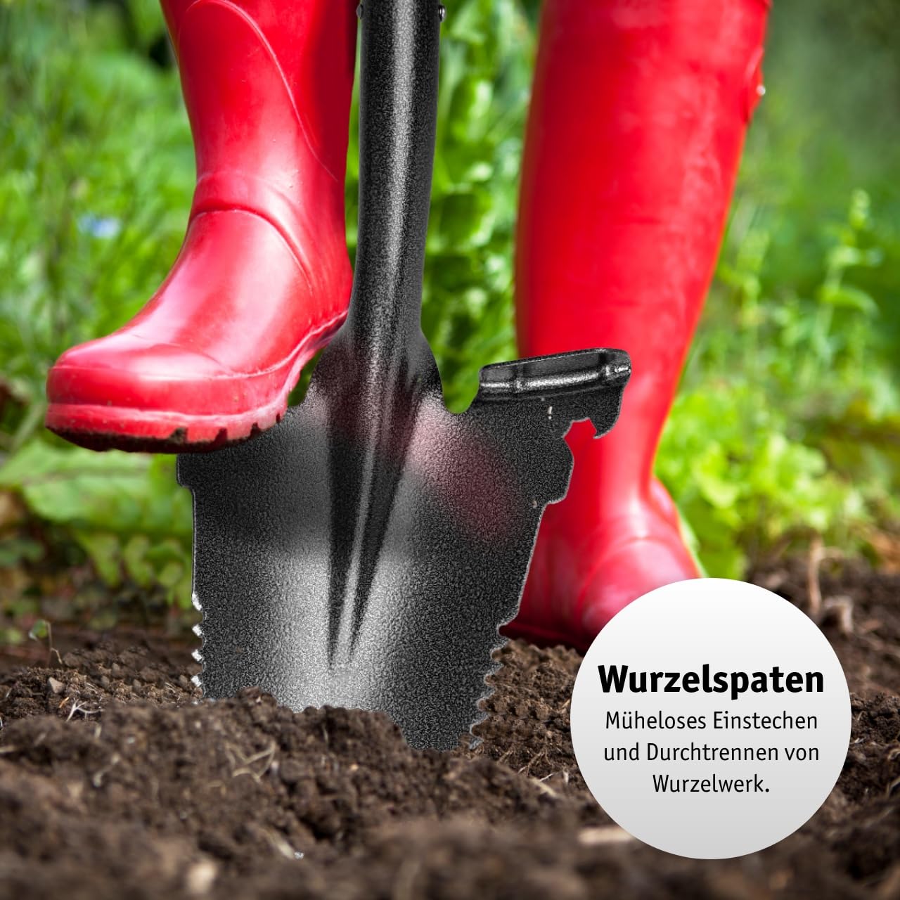 WALTER Spezialspaten-Set 3-TLG. - Kombispaten, Drainagespaten und Wurzelspaten - Robuster Glasfaserstiel, Antirutschgriff, langlebiger Kohlenstoffstahl