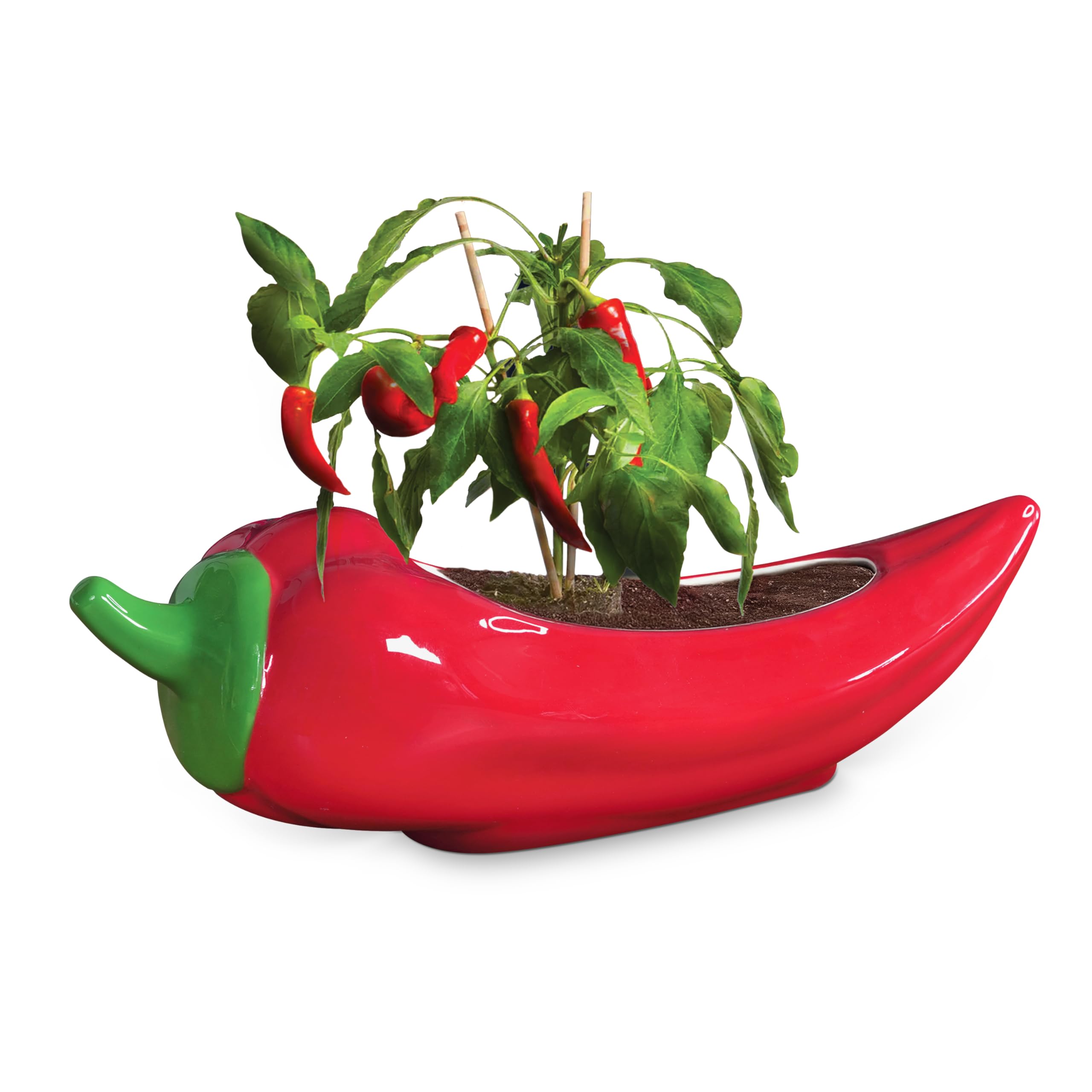 Bubblegum Stuff Red Hot Chili Planter – Glazed Ceramic Chili Pepper Plant Pot For Indoor Gardening – Fun & Spicy Gift For Plant Parents And Chili Lovers – Unique Indoor Planter For Herbs, Houseplants & Peppers