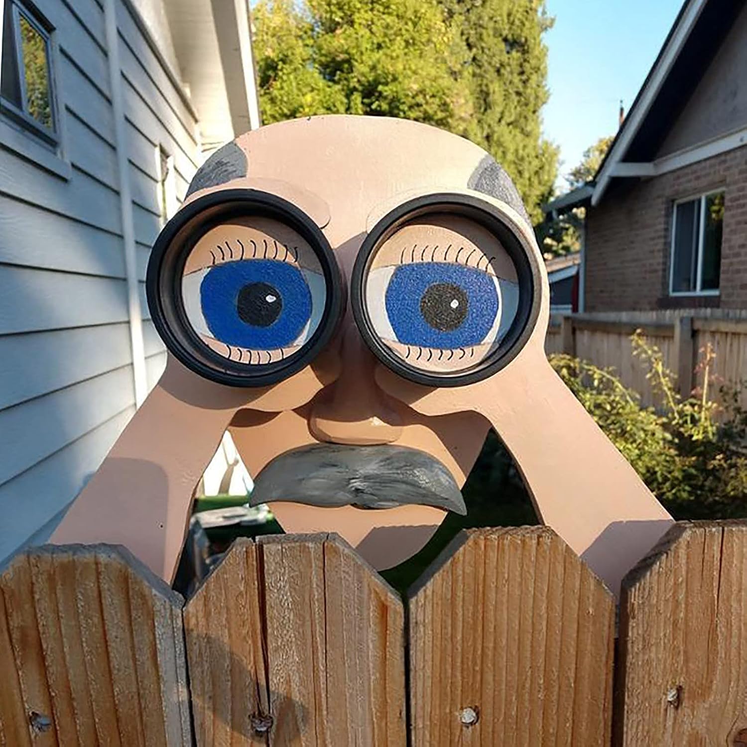 Fence Peeker Decorationvtx4 Amazon Location Pasadena Tx - fx4j4vp