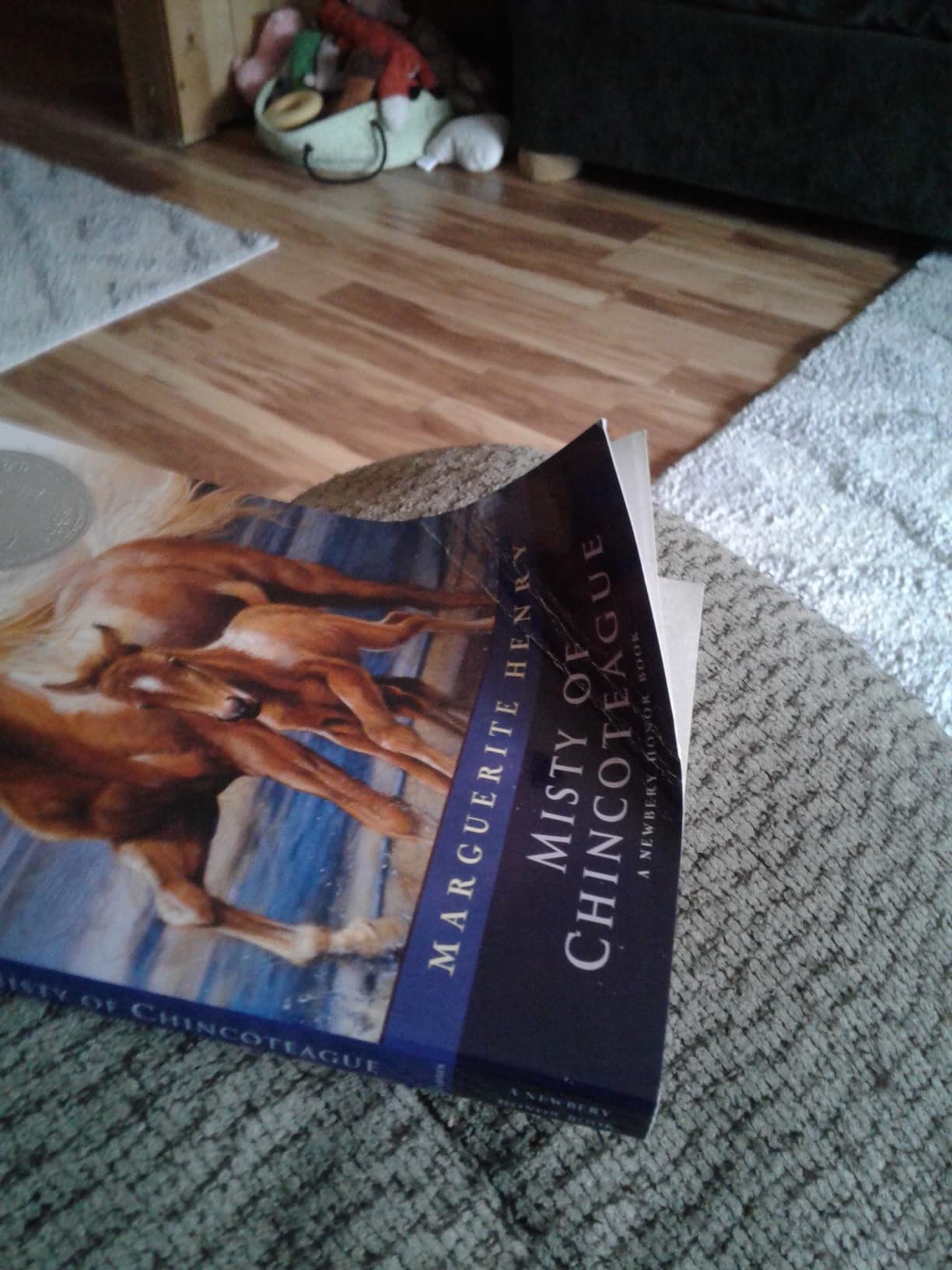 My book came with the cover and first 22 pages bent backwards.