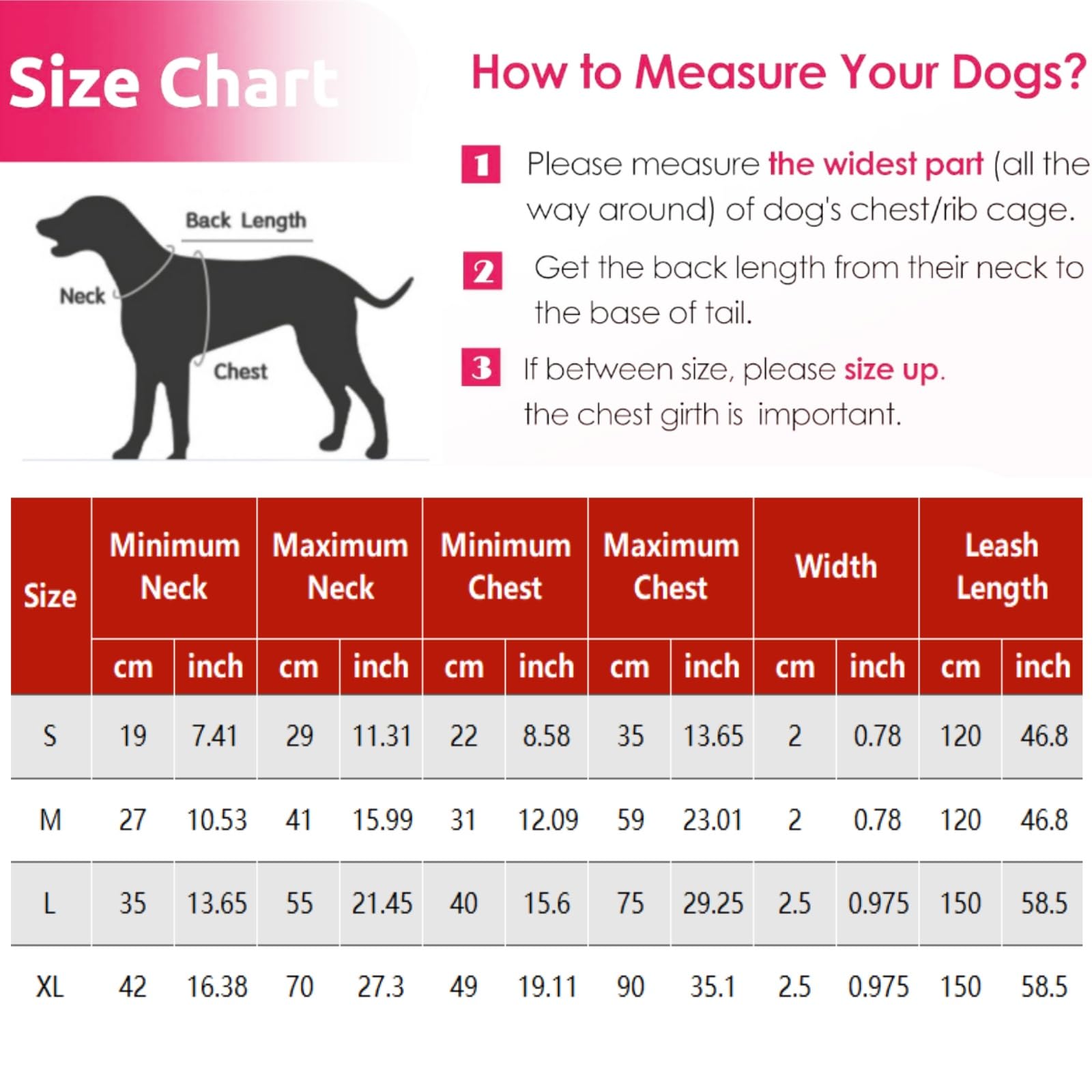 Ensemble Harnais et Laisse pour Chien en Dentelle, Harnais pour Chien pour la Marche et Le Dressage, Ensemble de Laisse réglable avec Fleurs pour Chiens de Petite, Moyenne et Grande Taille