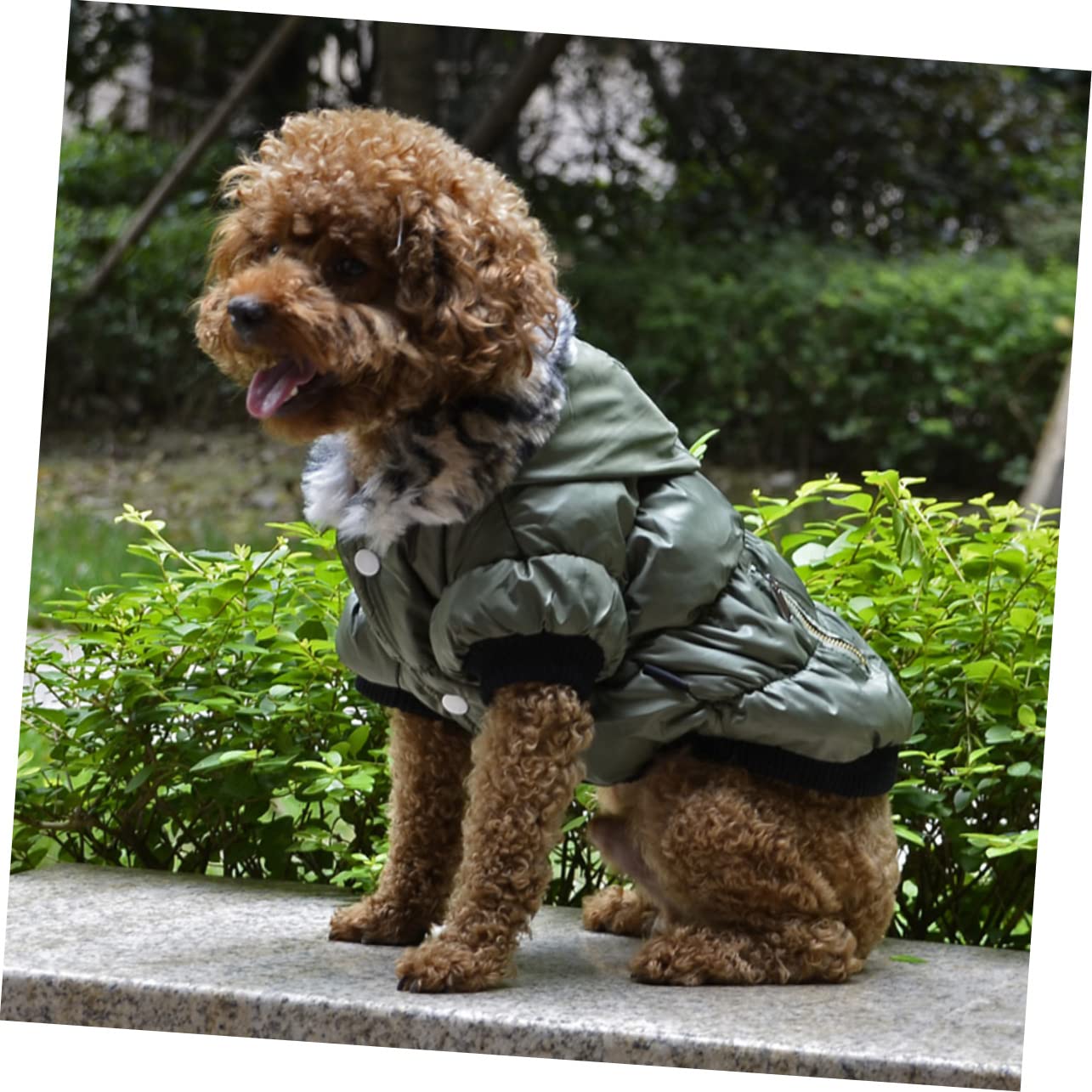 Sosoport 3pièces Manteau pour Chien Hiver Doublé Chaude Et pour Chiens XS Vêtement De Vert pour Animaux De Compagnie