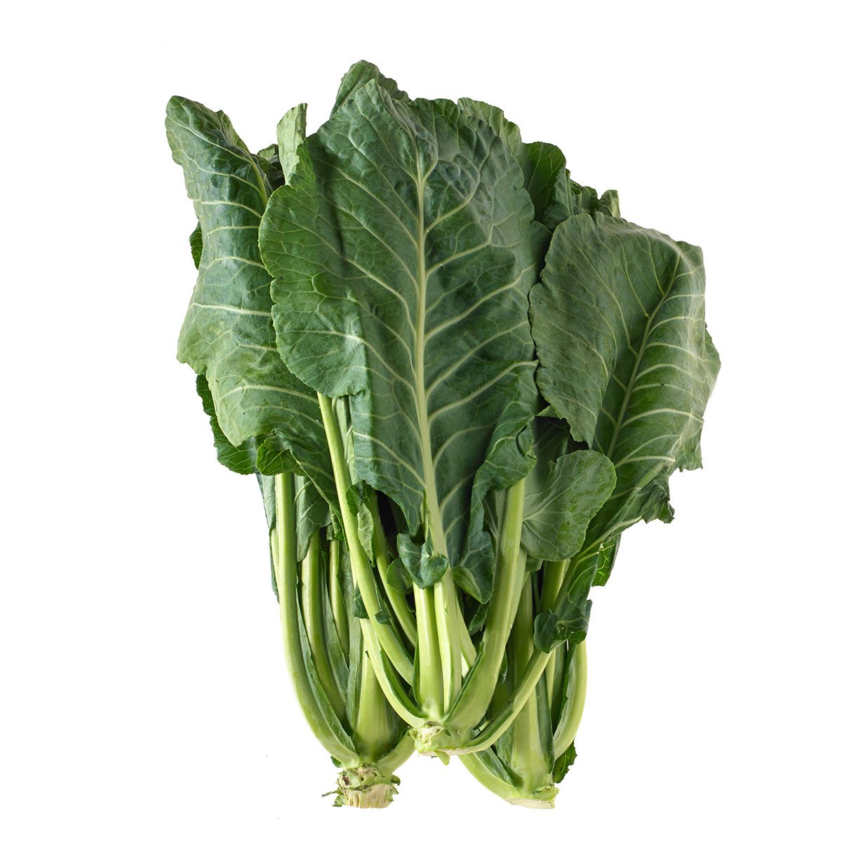 National Gardens Morris Heading Collards Green Vegetable Seeds (B094YL4KCH) Amazon Price History, Amazon Price Tracker