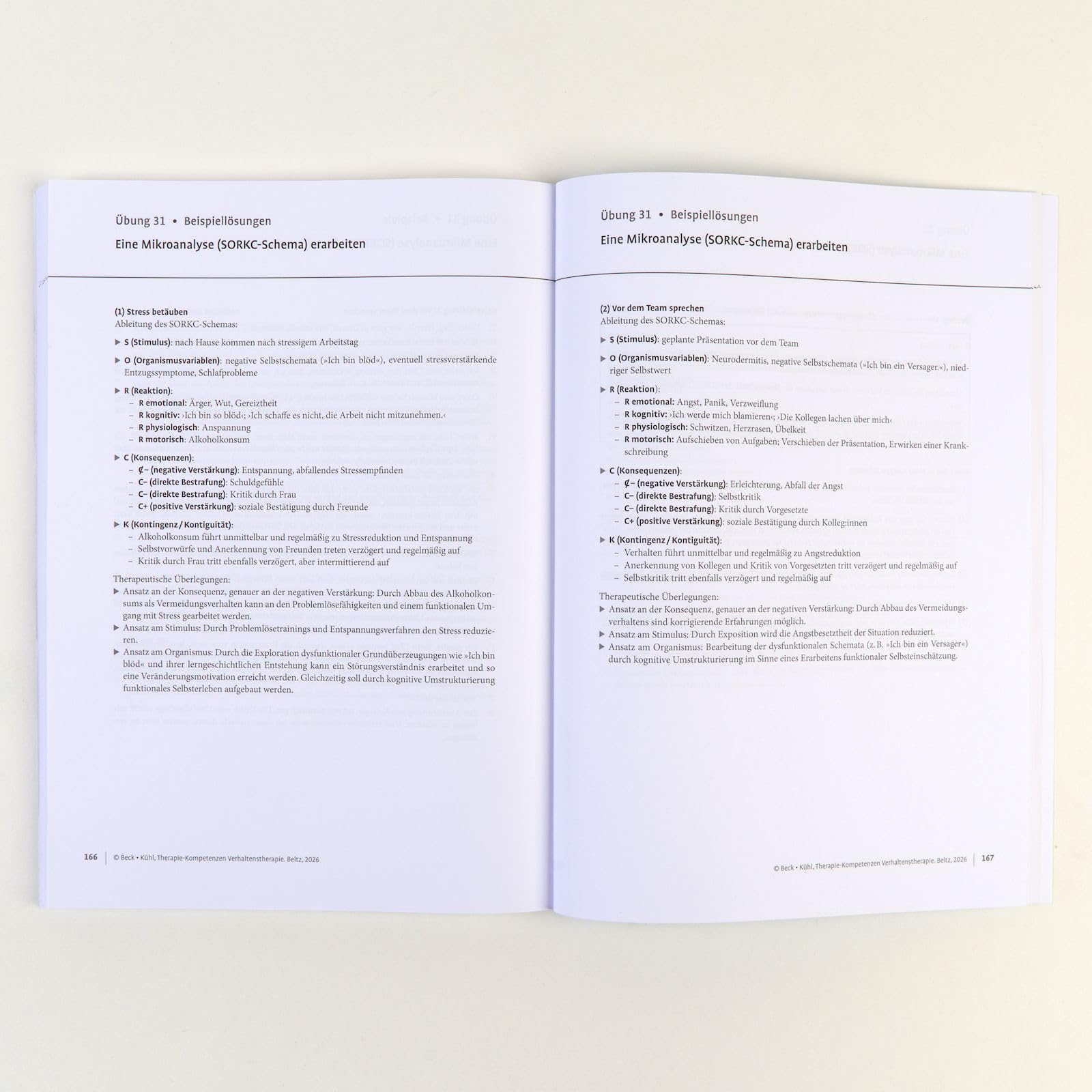 Therapie-Kompetenzen Verhaltenstherapie: Mit E-Book inside und Arbeitsmaterial (Beltz Therapie-Kompetenzen)