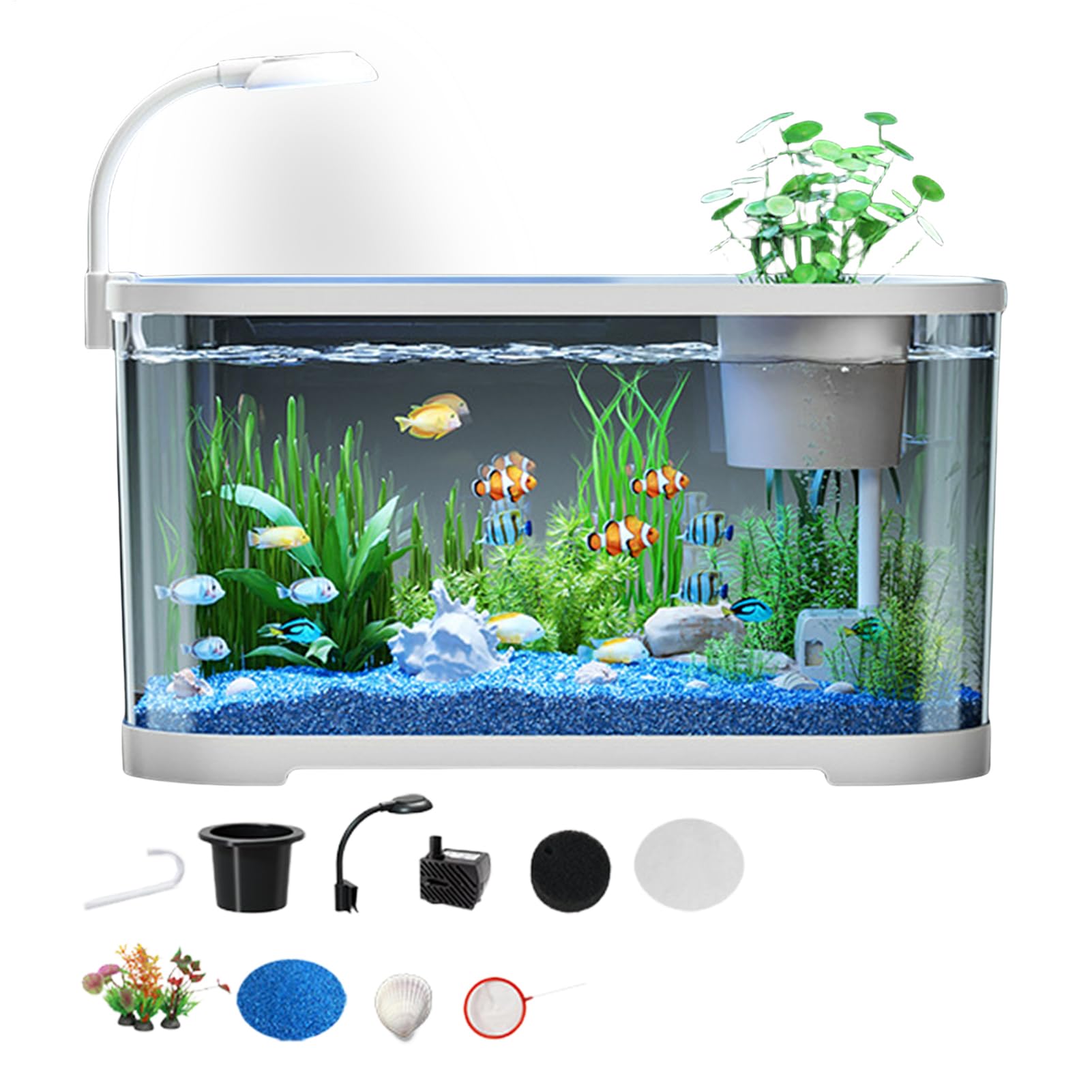 Kit Per Principianti Di Acquari, Generico, Kit Per Acquari, ABS, Acquario Per Principianti, Decorazioni Per Tartarughe Terrestri, Rane, Tartarughe