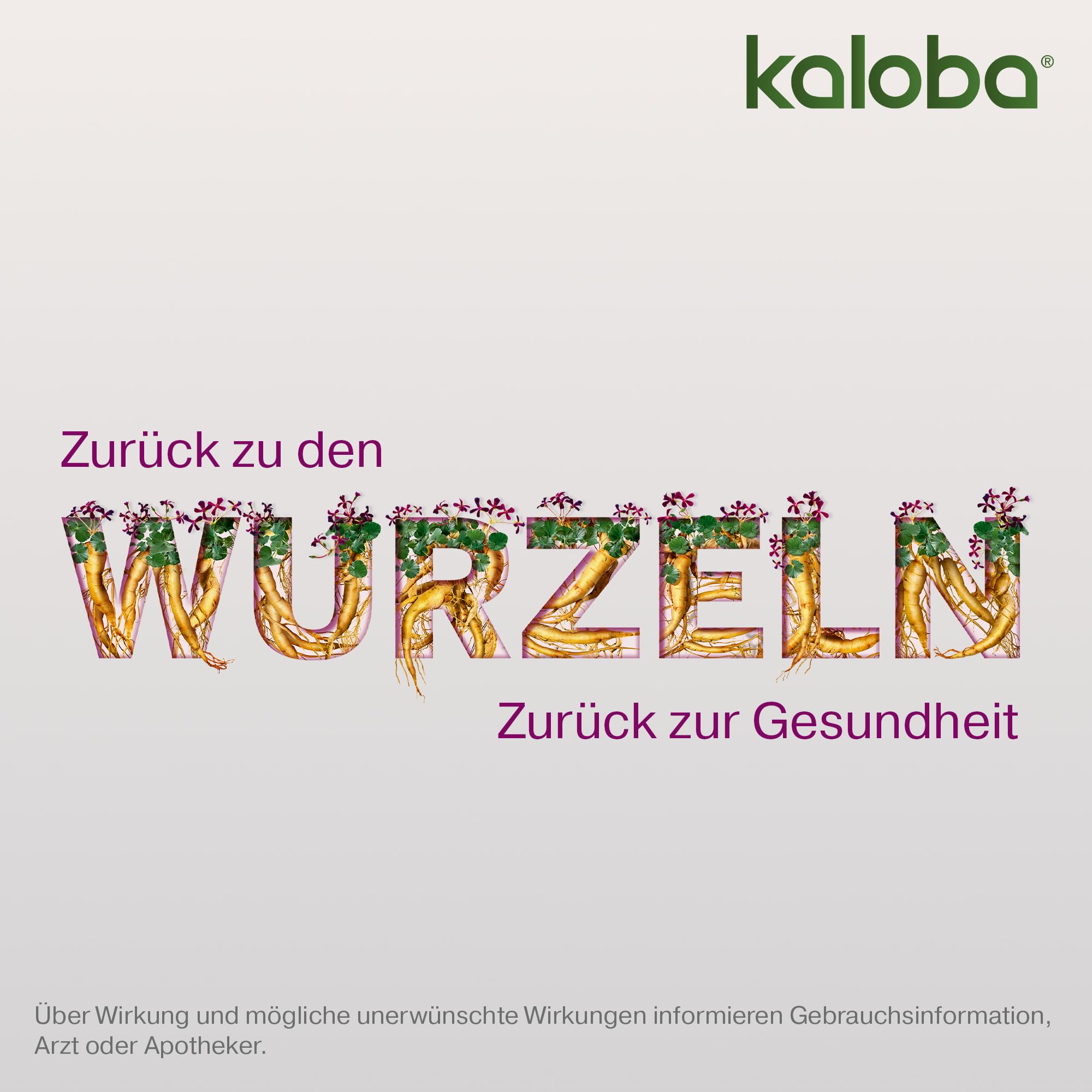 Kaloba Direkt Granulat – Pflanzliches Arzneimittel bei Erkältung & Bronchitis, bei viralen Infekten, Bakterien & festsitzendem Schleim, für Erwachsene & Kinder ab 6 Jahren, 21 St