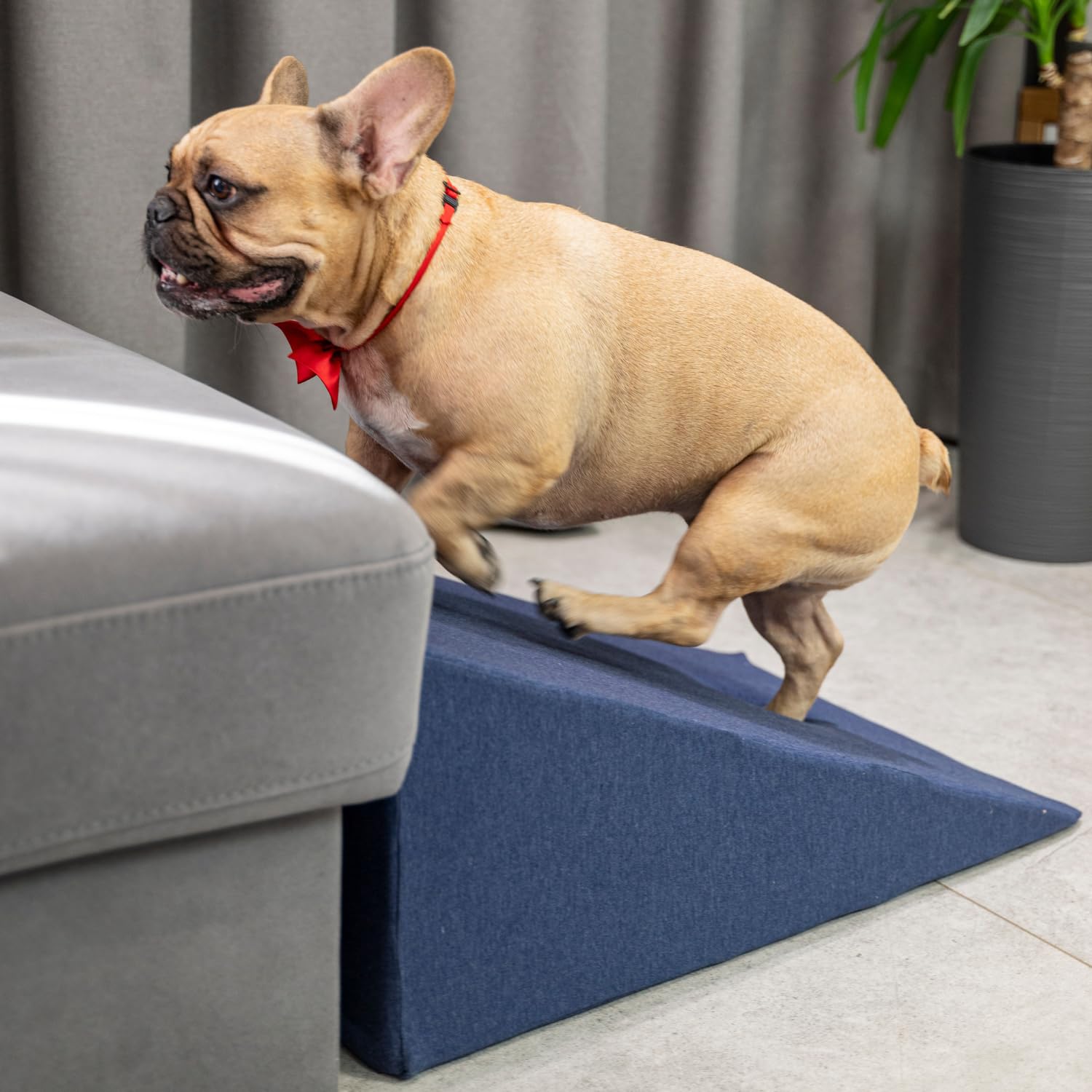 Rampe pour Chien Et Chats Animaux Rampe pour Canapé Et Lit Rampe avec Housse Amovible, Bleu Foncé