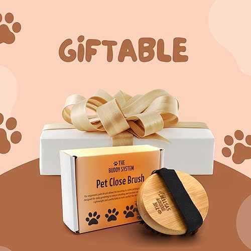 Miniatura 8 de The Buddy System Cepillo de cierre para mascotas, cepillo de palma ovalada suave al tacto - Masaje de bambú de mano con cerdas suaves de jabalí y