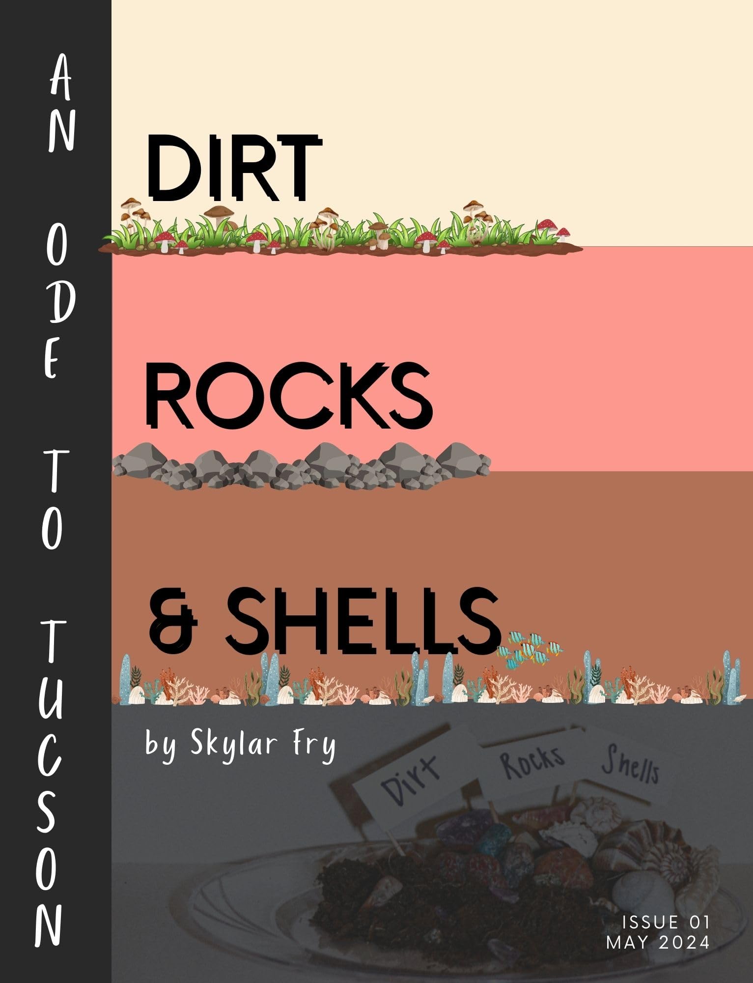 Dirt Rocks & Shells Poésie Désert Tucson Livre Inspiration