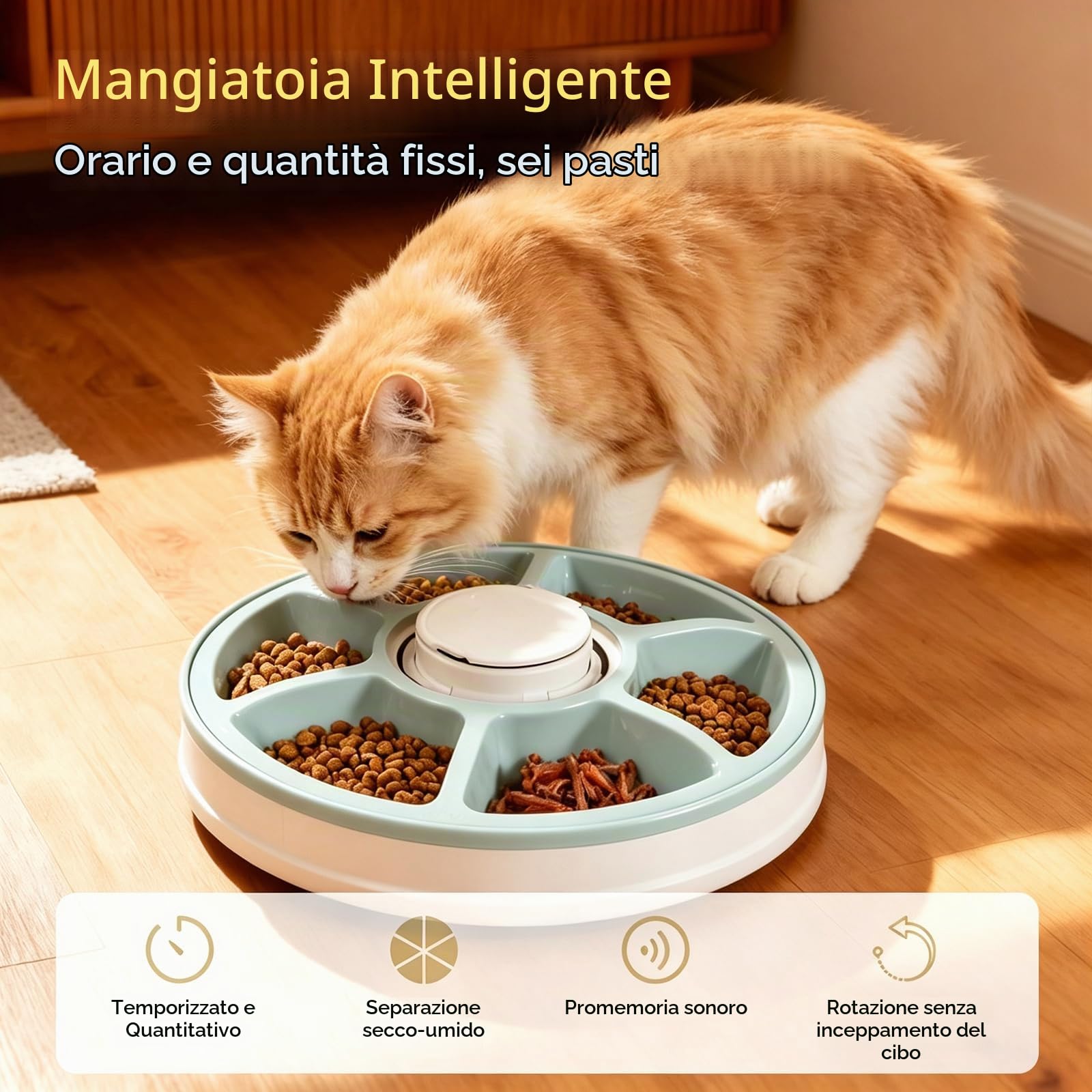 Mangiatoia automatica per gatti, per gatti con timer, per 6 pasti, alimentatore a batteria, per cibo umido e umido