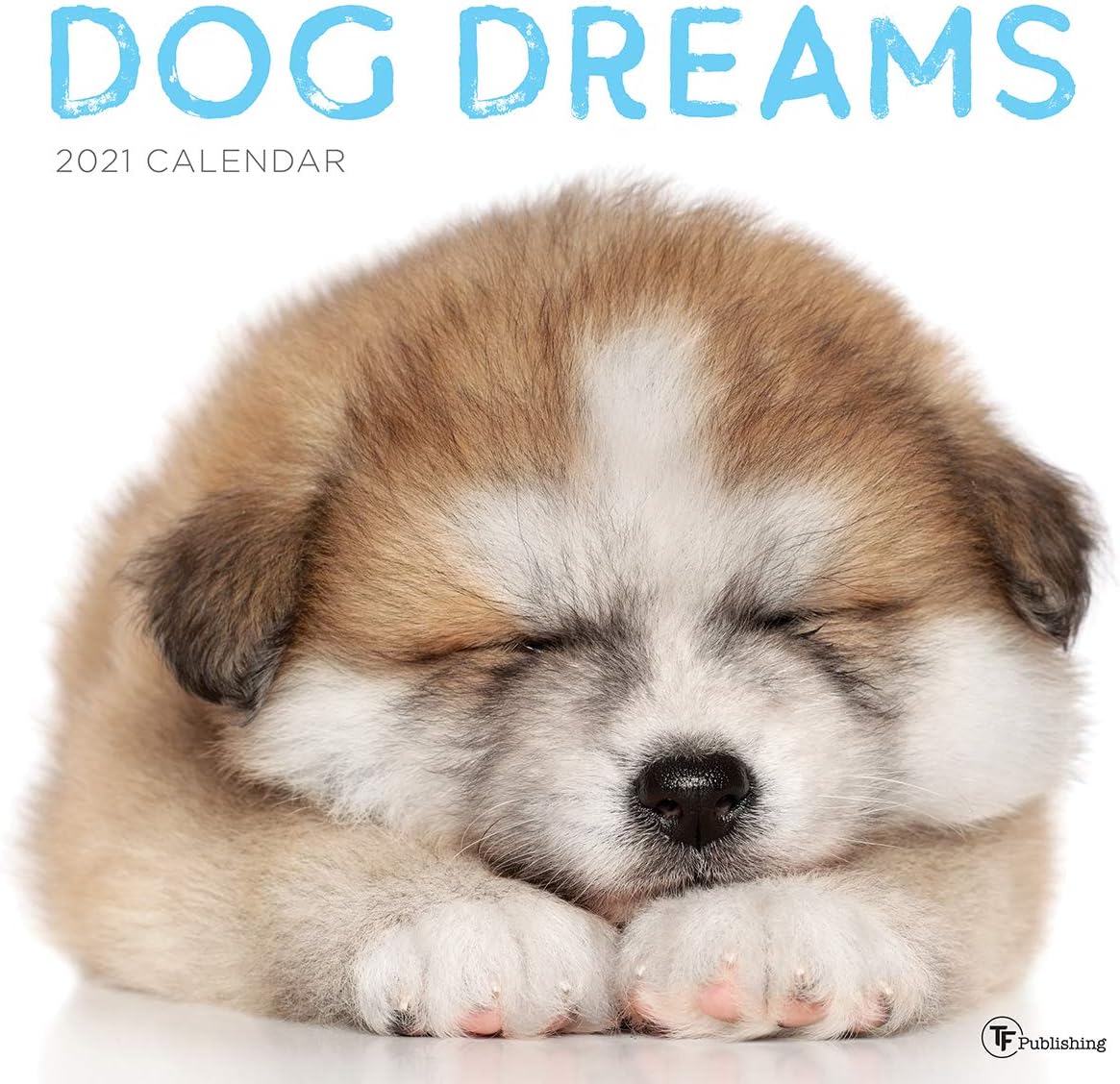 Dream dog. Dog dreams. Шлейка superdog. Dog dreams. Дога музыка.