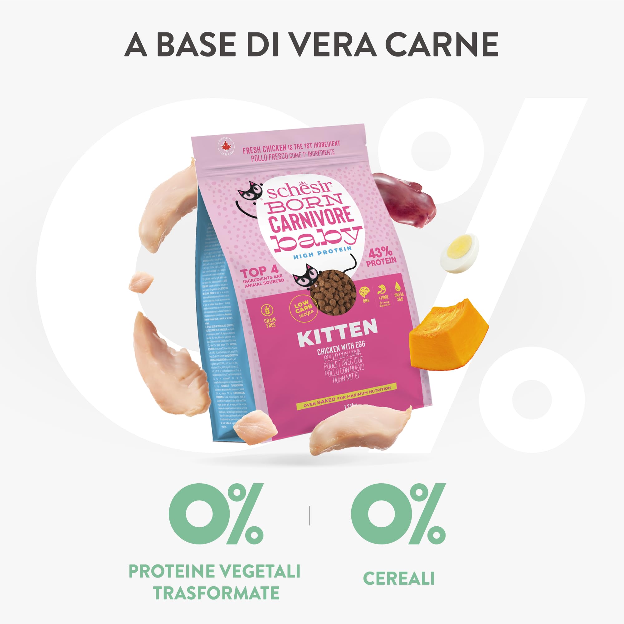 Schesir Born Carnivore Baby, saveur Poulet et œuf, croquettes pour Chatons, croquettes cuites au Four (Sachet de 1,25 kg)