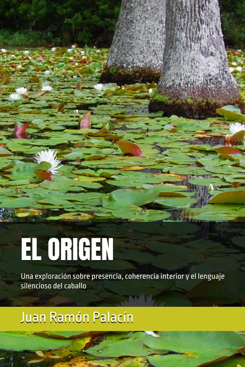EL ORIGEN: Presencia, regulación y memoria corporal en el encuentro con lo vivo