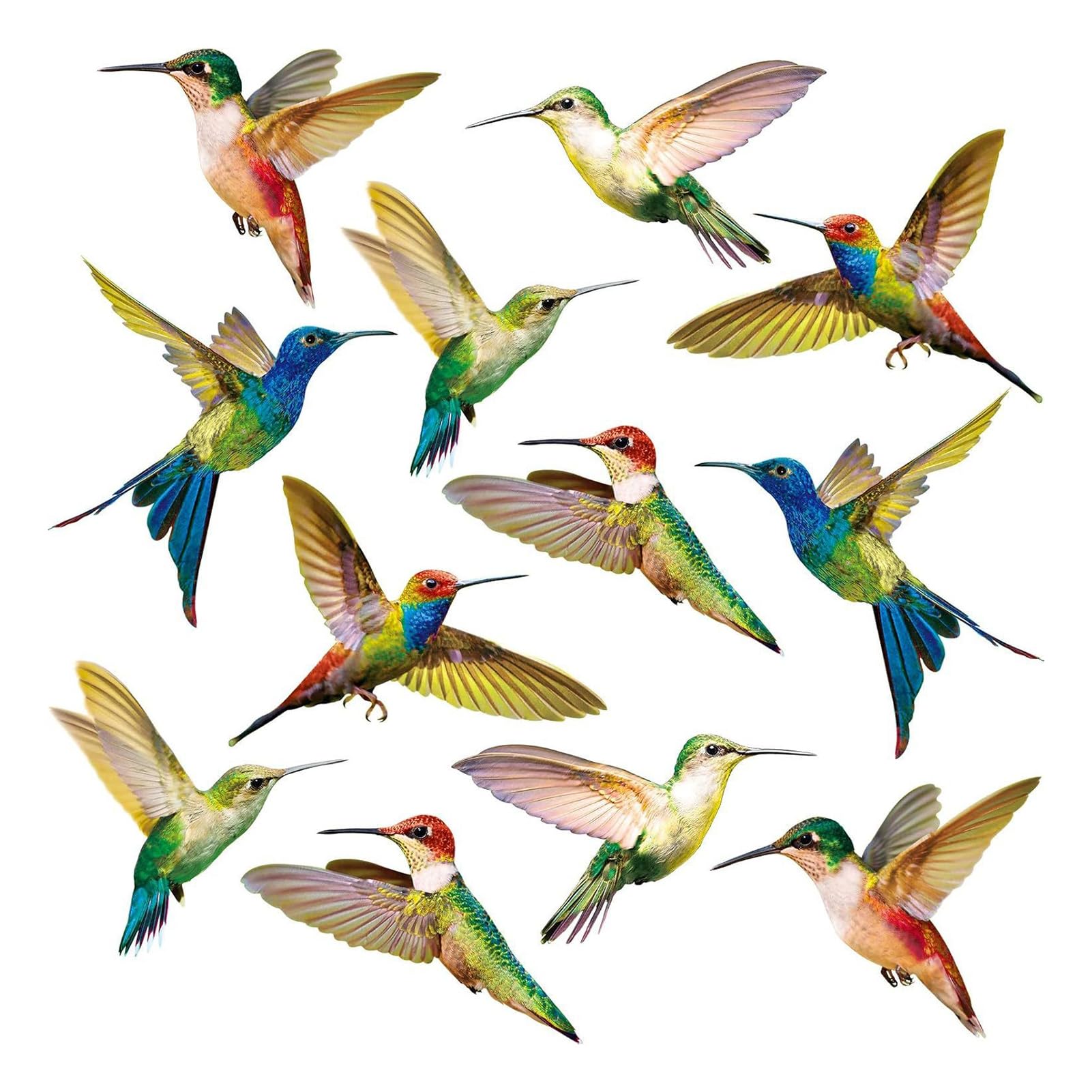 Pasisuu Bird Strike Prevention Window Decals, Reusable Static Clings Stickers for Glass Doors, Protective Bird Collision Stickers, Easy Install 12pcs