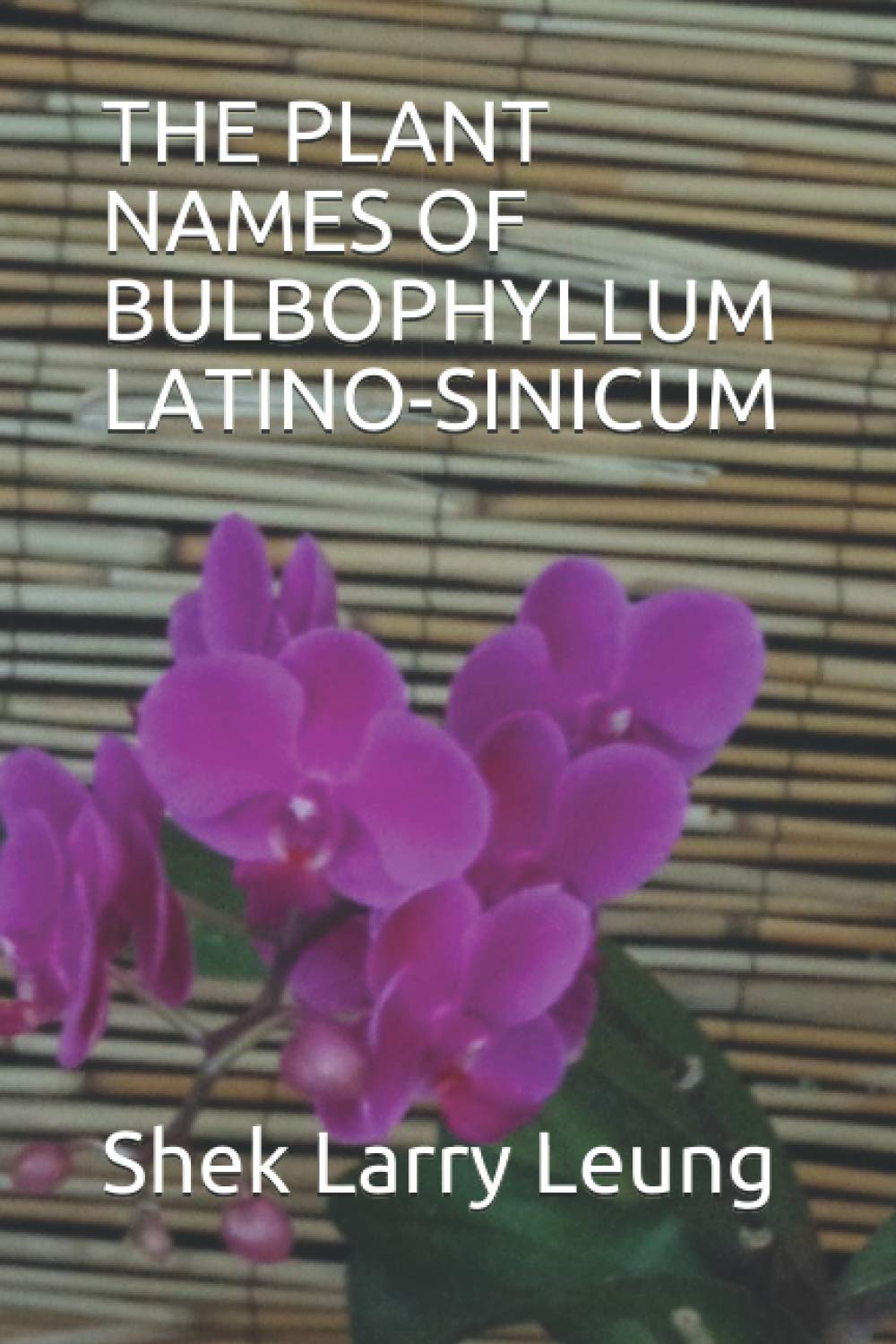 THE PLANT NAMES OF BULBOPHYLLUM LATINO-SINICUM