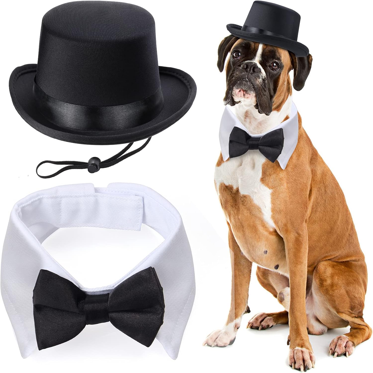 Yewong 2 Pieces Pet Formal Accessories Set - Pet Top Hat with Pet Formal Necktie/Bowtie Birthday Party Gradation Halloween Costumes Accessories for Dog Cat (Black-B) : Pet Supplies