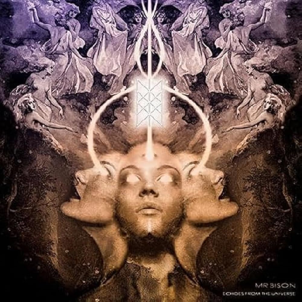 Echoes from the universe