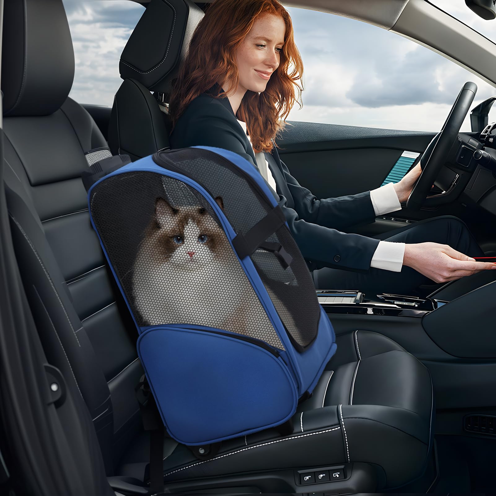 Sac à Dos à roulettes pour Chiens/Chats Supporte 15 kg, Sac à Dos de Transport pour Chien/Chat avec poignée télescopique, Trolley pour Petit et Moyen Chats et Chiens (Bleu Royal)