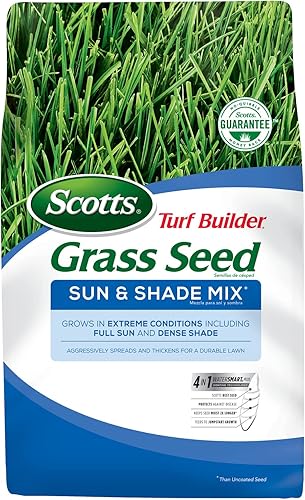 Miniatura 13 de Scotts – Mezcla de semillas de césped Turf Builder Sun & Shade con fertilizante y mejorador de suelo, prospera en diversas condiciones, 2.4 libras