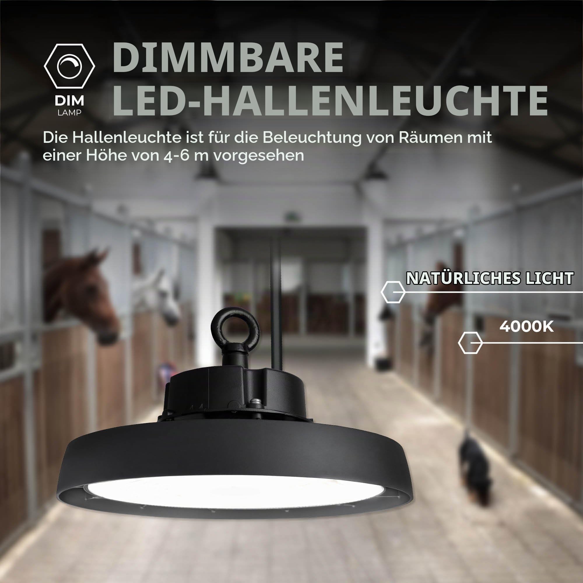Ledvion Energieeffiziente LED-Hallenstrahler 80W, Energieklasse A, 192lm/W, 15.360 Lumen, 4000K, IP65, Dimmbar, 5 Jahre Garantie, Professionelle UFO Lampe, IP65-Zertifizierung | 192 lm/W (Klasse A), Sosen-Treiber, dimmbar, IP65