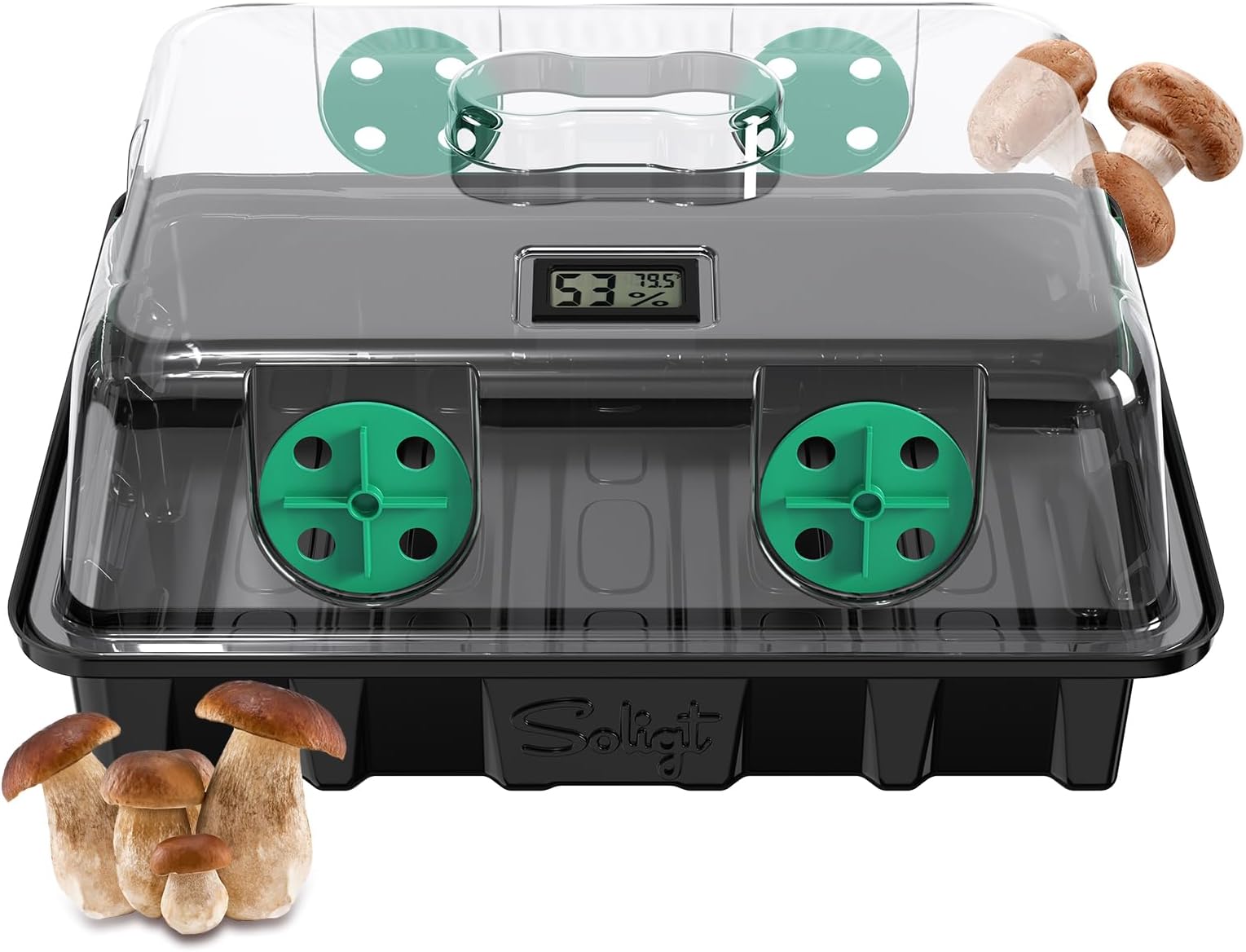 Amazon.com: Litytlen Portable Mushroom Growing Tent-Spore Fungus Fume ...