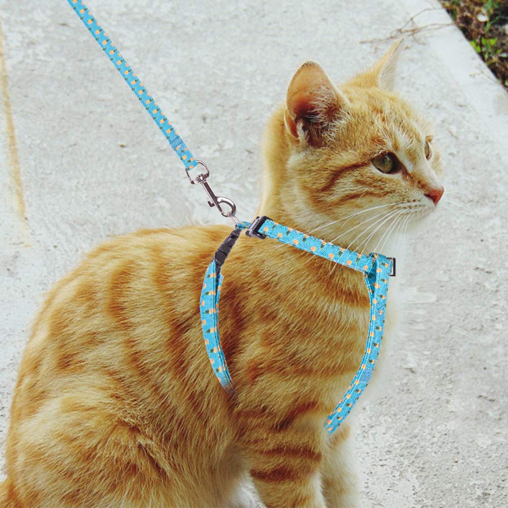 Bingpet Cat Harness And Lead Set Escape Proof Adjustable Soft