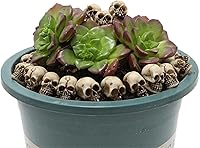 Vista 3 de BinaryABC Mini Skull Figurine Miniature Skeleton Head Table Decor,Halloween Micro Landscape Figure,Halloween Prank Props,Haunted Dollhouse