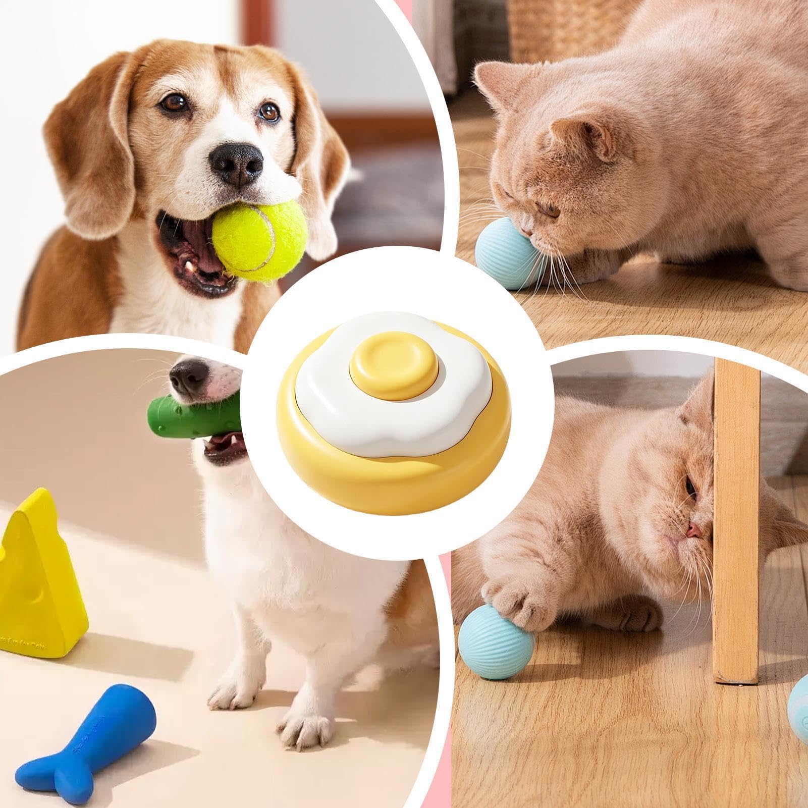 Hundetrainingsglocke für Haustiere, Katzen, Heimkiste, Boden