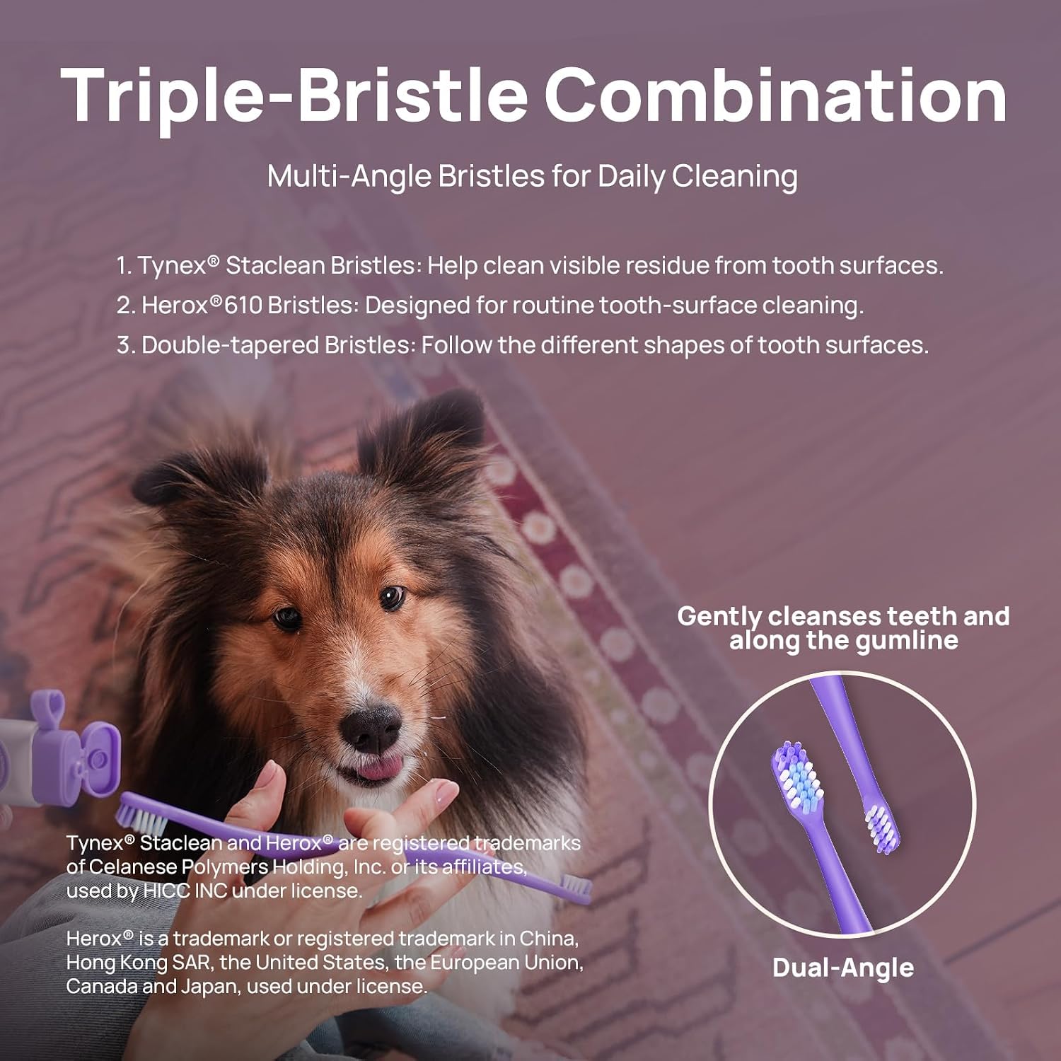 HICC PET Dual-Head Toothbrush for Dogs & Large Cats, Easy Teeth Cleaning | Large and small brush heads help reach different tooth areas. Comfortable grip for easy daily brushing