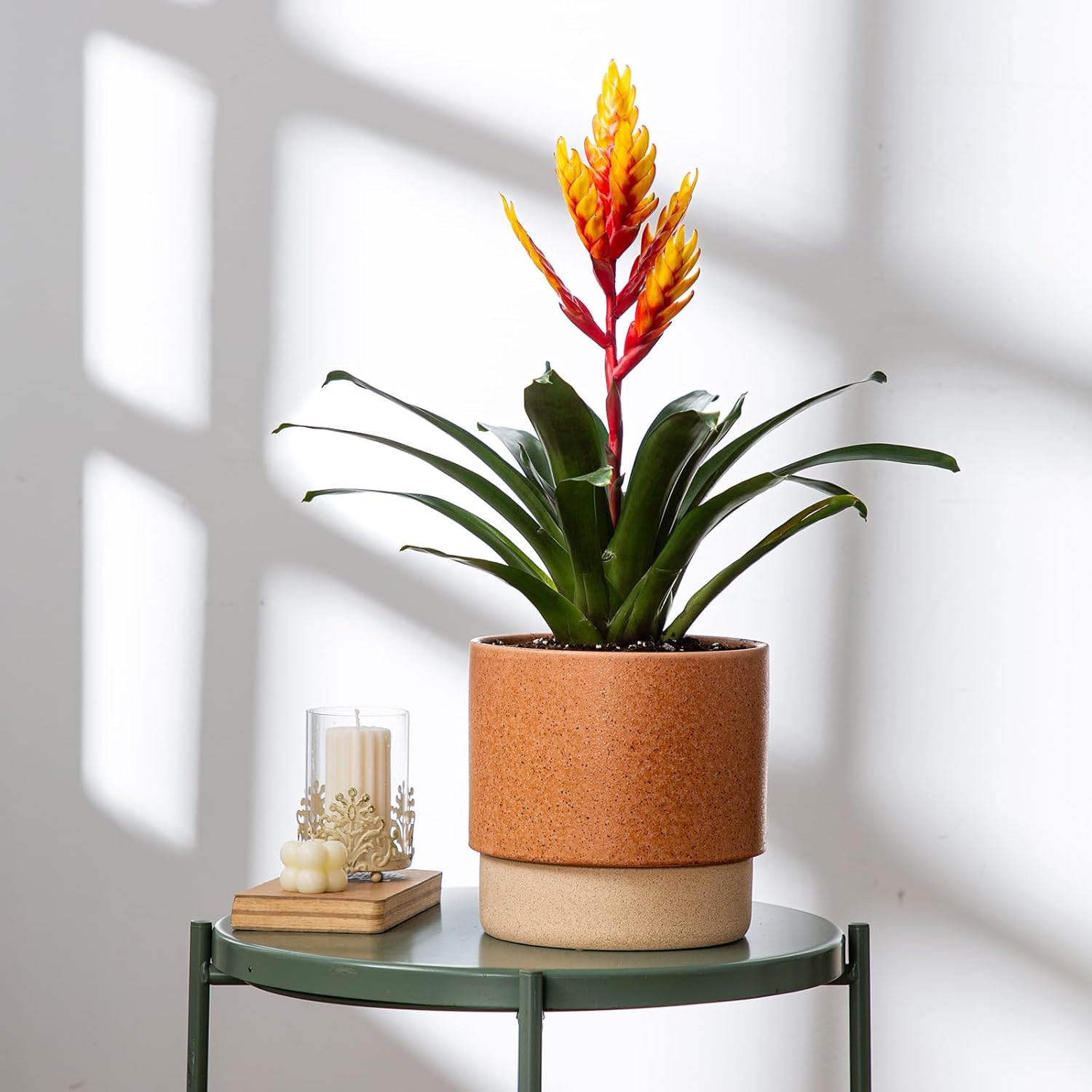 Self Watering Ceramic Planter: 8 Inch Plant Pot with Drainage Hole & Water Storage Plus for Outdoor & Indoor Plants, Succulents, Herbs - Flower Pot for Home or Office Decor - Terracotta